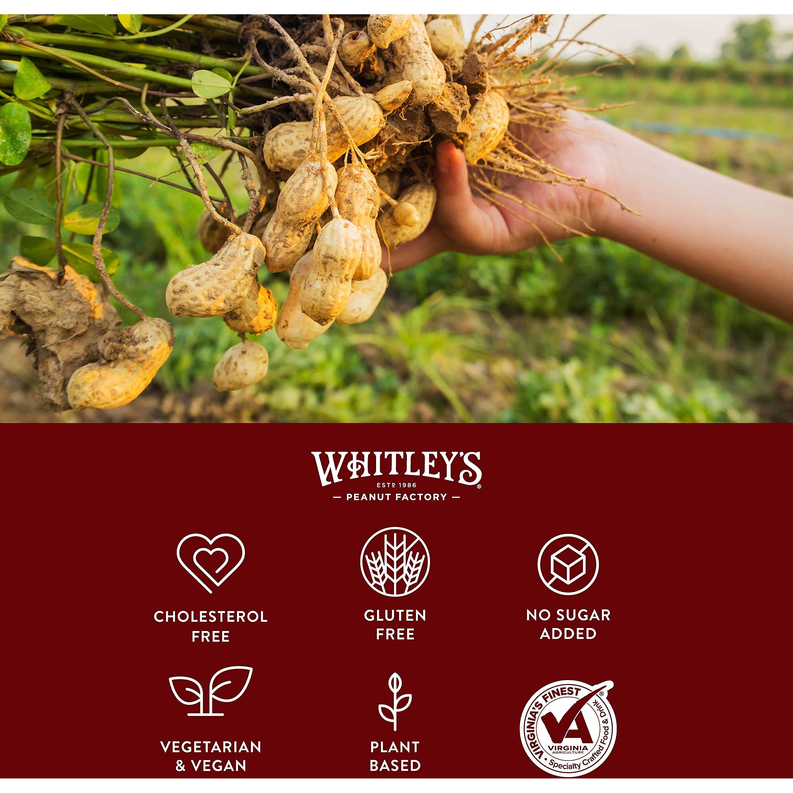 Whitleys Salted Virginia Peanuts - Super Extra Large 'Home Cooked' Virginia Peanuts (32 Ounce Tin)