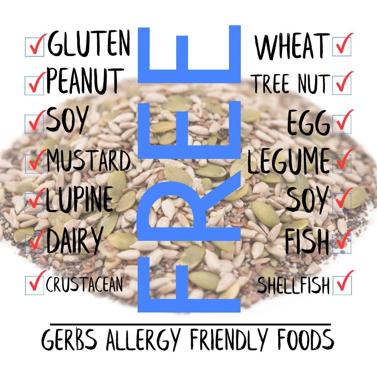 Gerbs Super 5 Seed Snack Mix 14 Oz. Premium Grade | Top 14 Food Allergy Free | Resealable Bulk Bag | Made In Usa | Raw Pumpkin Sunflower Chia Hemp Flax Seed Trail Mix | Gluten Peanut Tree Nut Free