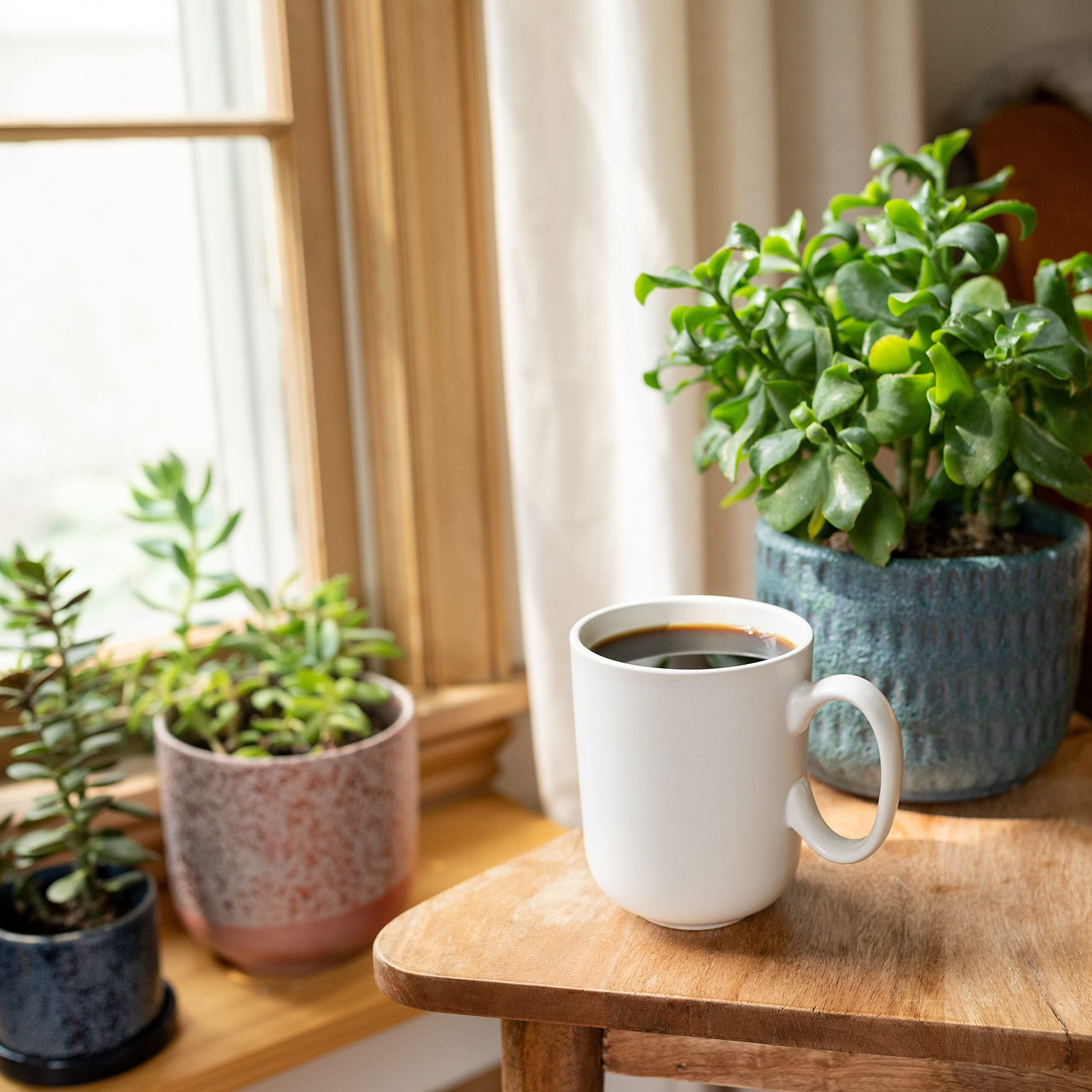 Cameron's Coffee Organic Mountain Gold Whole Bean Coffee, Medium-Dark Roast, 100% Arabica, 28-Ounce Bag, (Pack Of 1)