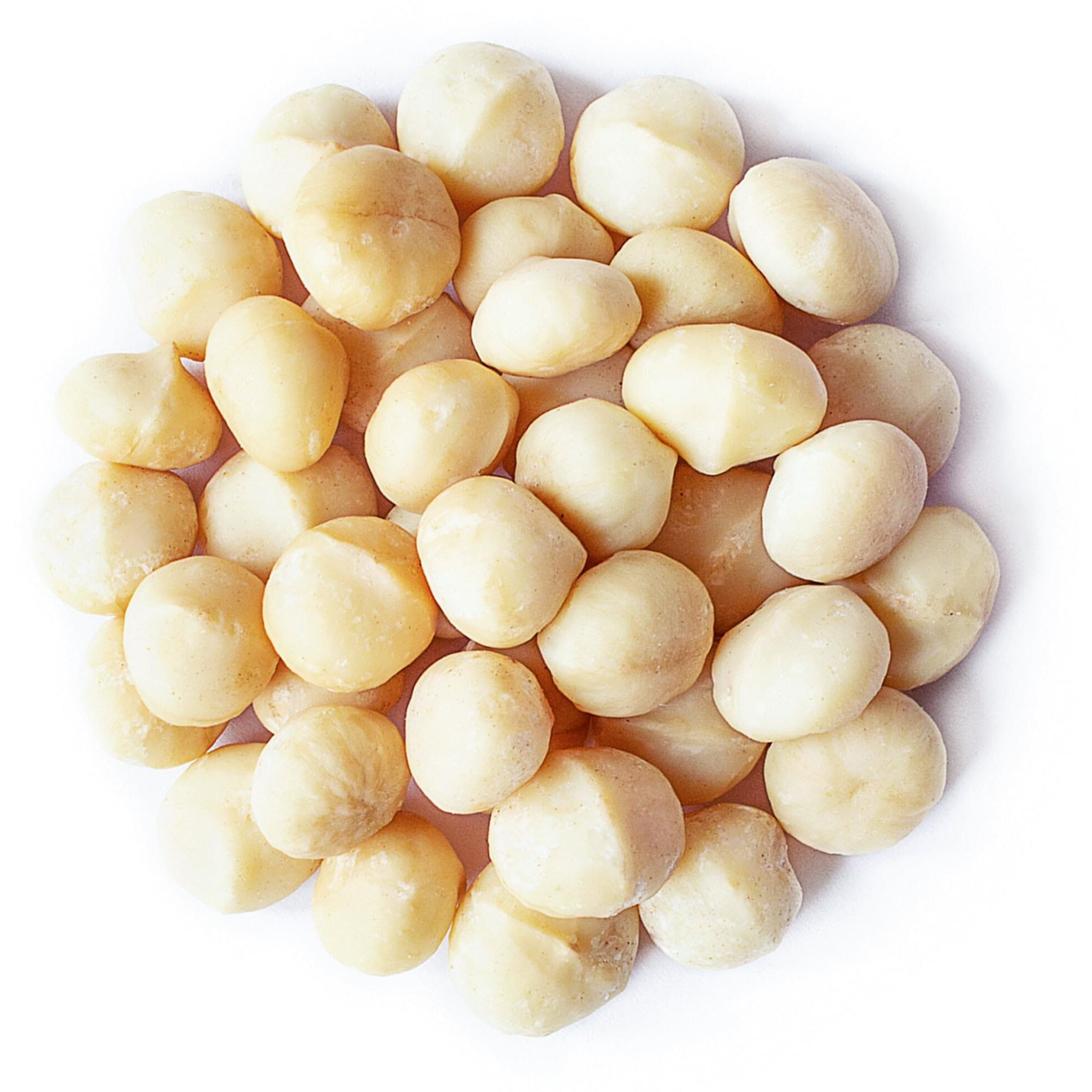Whole Macadamia Nuts, 12 Pounds - Non-Gmo Verified, Raw, Unsalted, Unroasted, Keto Friendly, Kosher, Vegan, Bulk, Great As Snack And For Baking, Good Source Of Manganese, Thiamin, And Copper