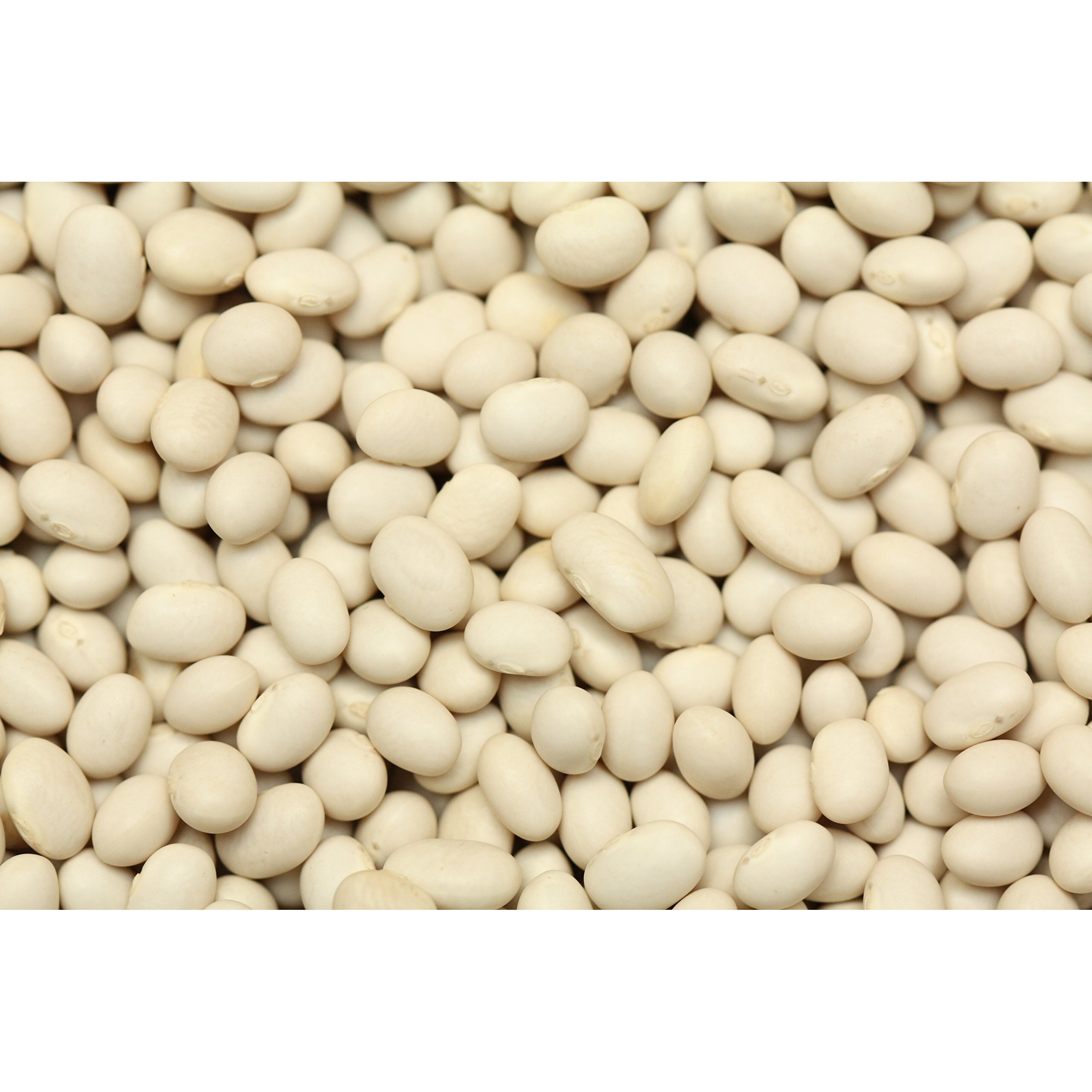 Yupik Organic Navy Beans, 2.2 Lb, Non-Gmo, Vegan, Gluten-Free, Pack Of 1