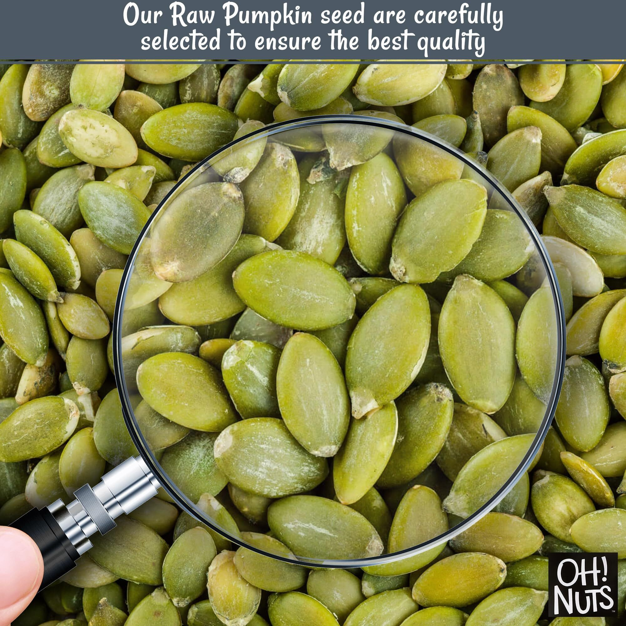 Pumpkin Seeds | Raw - 100% Natural | 2 Lb | Unshelled Pepitas Raw | Packed In New York Zip-Seal Bag For Exceptional Freshness By Oh Nuts