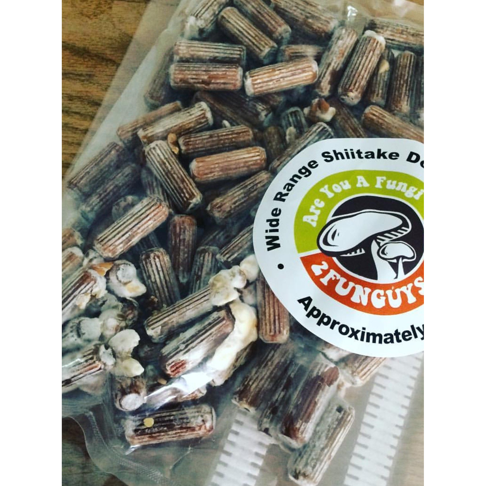Shiitake Plug Spawn Starter Kit - Grown Your Own Mushrooms