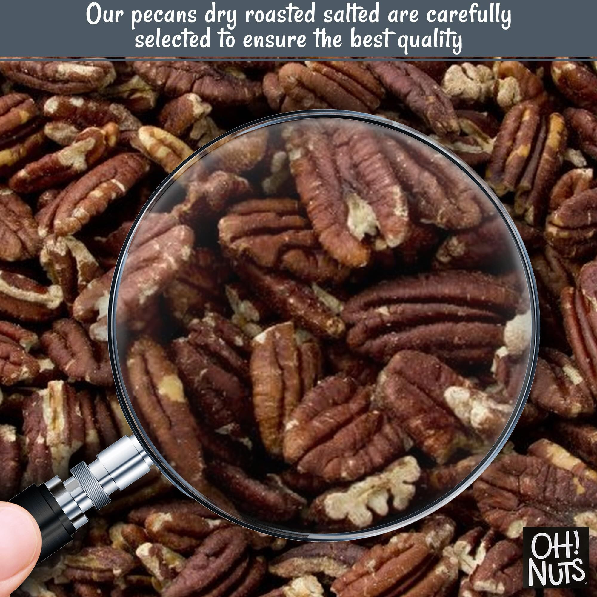 Pecans | Dry Roasted Salted | 2 Lb | Oil-Free, All Natural Pecans | Packed In New York Zip-Seal Bag For Exceptional Freshness By Oh Nuts