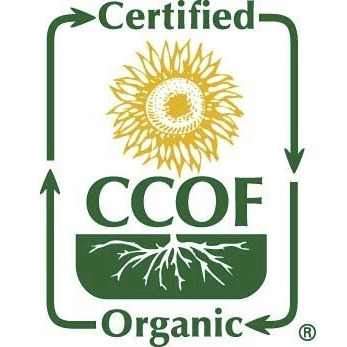 Mccabe Organic Brown Rice Tea - Roasted Brown Rice Tea Korean | Rich In Fibers And Minerals | Usda And Ccof Certified Organic | Product Of Usa | 2 Lbs (32 Oz)