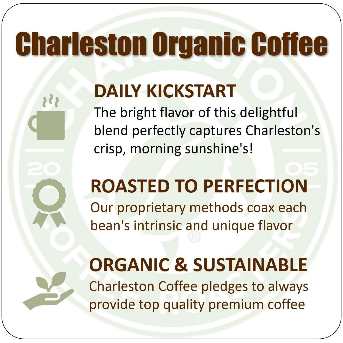 Charleston Coffee Roasters | Specialty Organic Ground Coffee | Hand Picked, Premium Slow Roast (Charleston Organic, Medium Roast) 28Oz