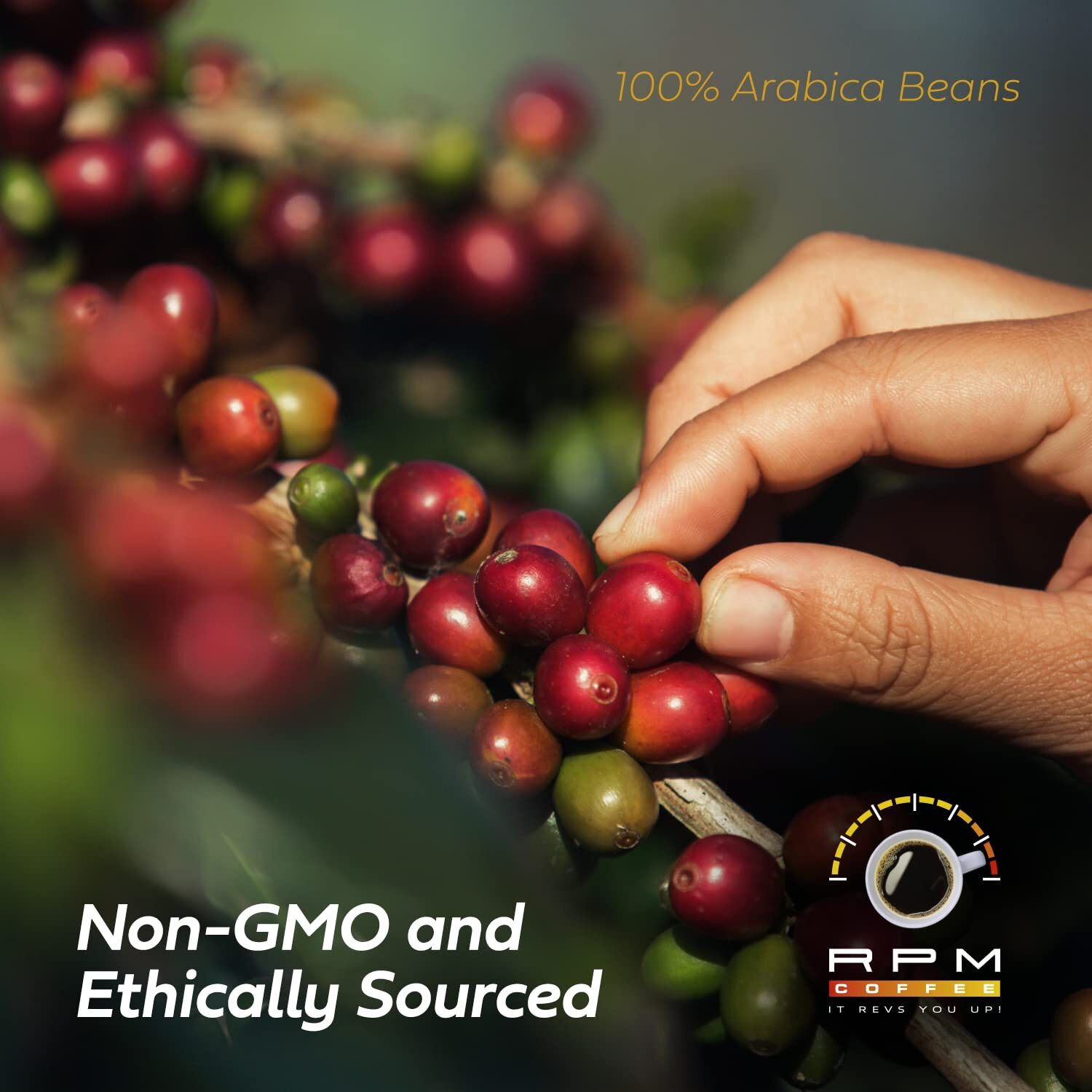 1Lb Rpm Organic Premium Coffee, Standard Caffeine - Supercharged Flavor, Medium-Dark Roast, 100% Arabica Beans, Low Acidity