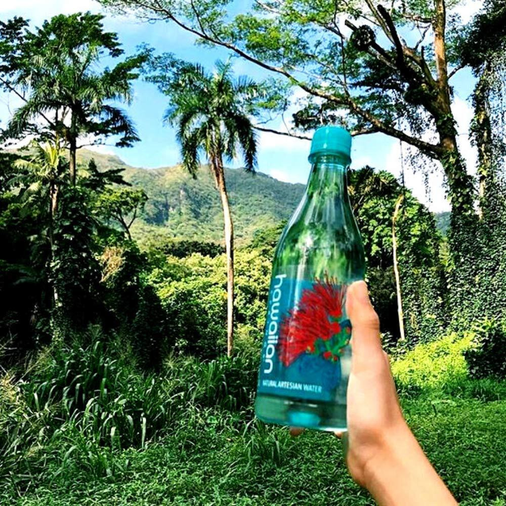 Hawaiian Springs- Natural Artesian Bottled Water | Volcanic Enhanced Alkaline Electrolytes | Sourced On Big Island, Hawaii | 1L (Pack Of 12)