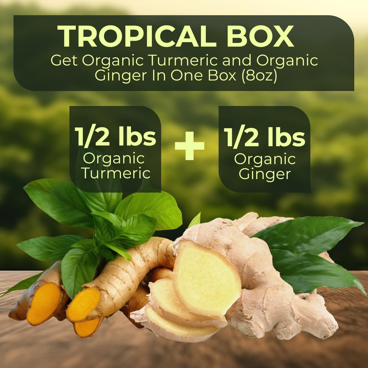 2 Lbs Us Grown (Not From Fiji) Organic Turmeric Ginger Root Blend Box (1 Lb Us Grown Turmeric Fresh + 1 Lb Peruvian Ginger Fresh) - Usa's Finest Wellness Ingredients Best For Cooking