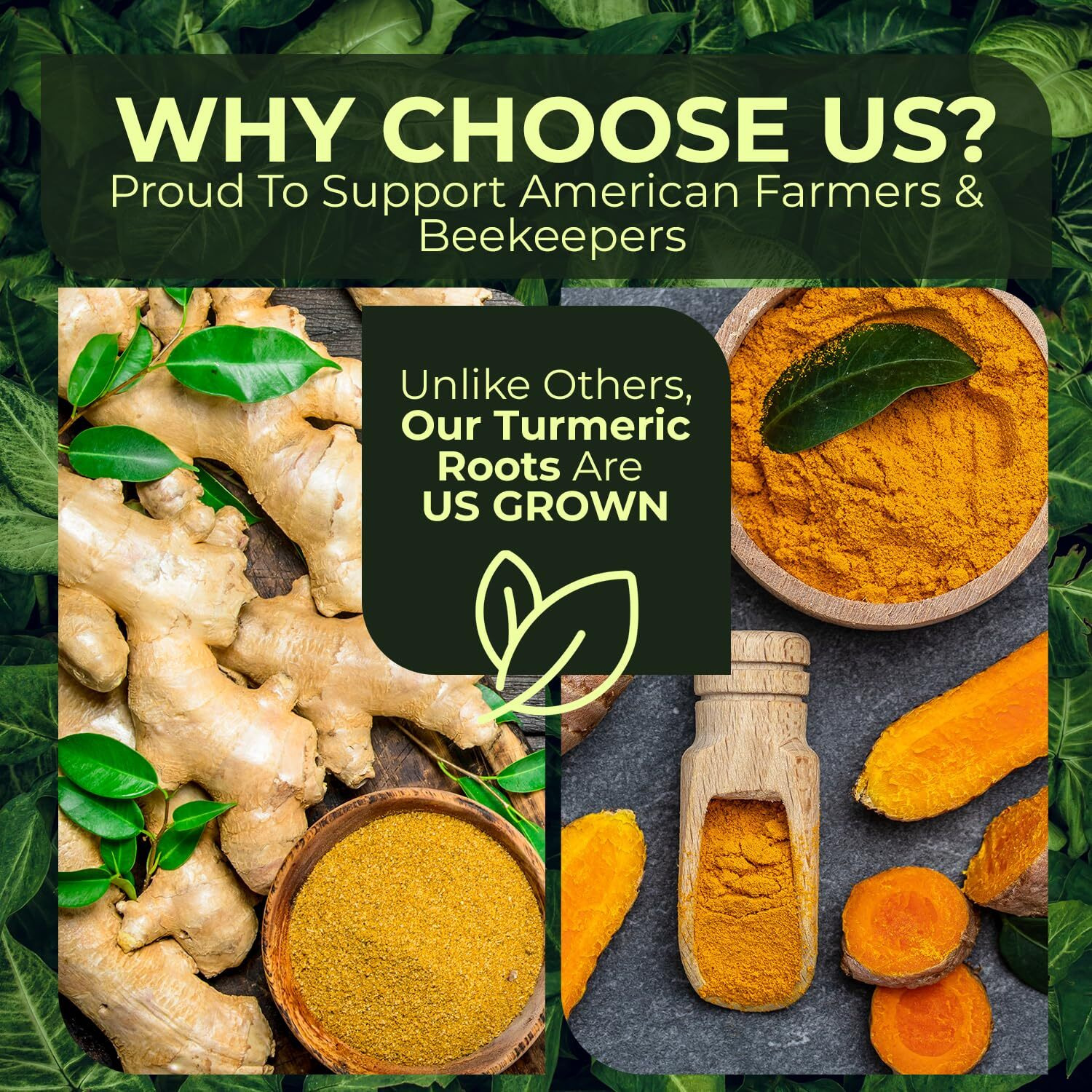 2 Lbs Us Grown (Not From Fiji) Organic Turmeric Ginger Root Blend Box (1 Lb Us Grown Turmeric Fresh + 1 Lb Peruvian Ginger Fresh) - Usa's Finest Wellness Ingredients Best For Cooking