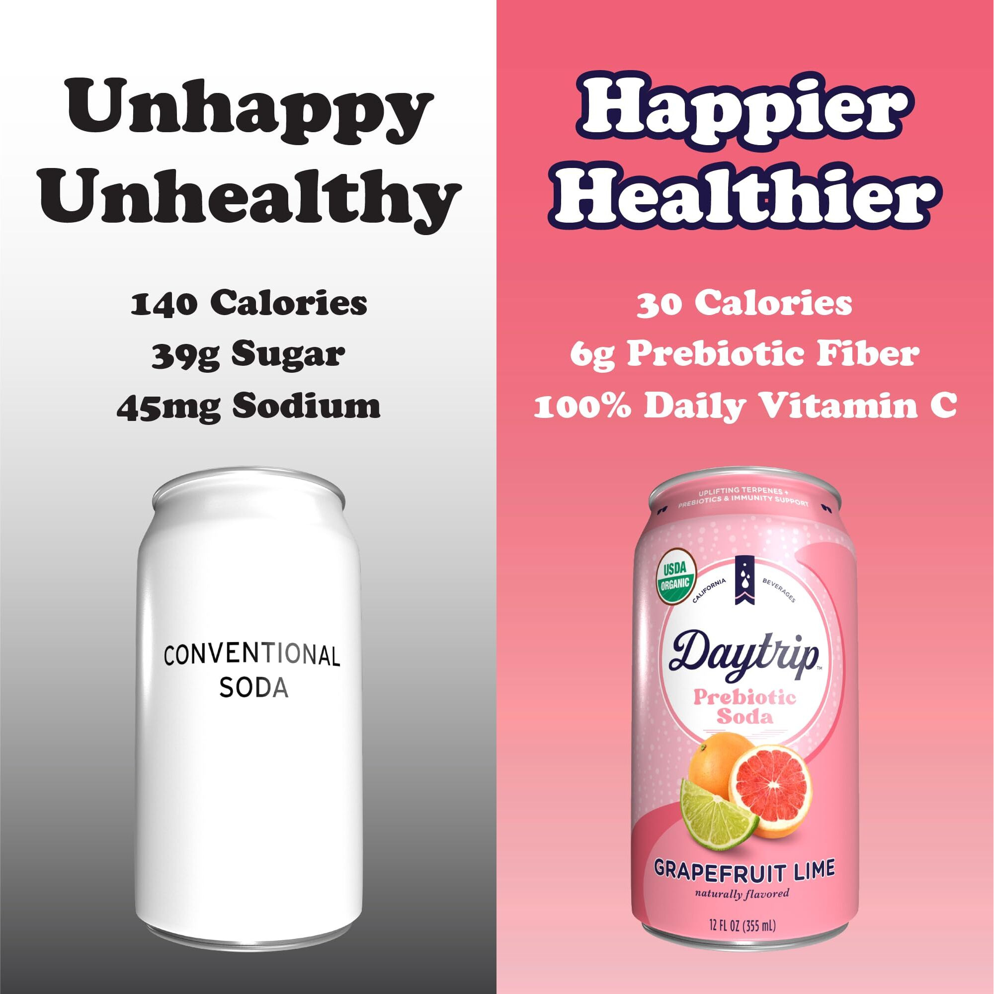 Daytrip Prebiotic Soda Drink | Certified Usda Organic | Mood Boosting Prebiotic Drink (12 Pack Of 12Oz Cans) | Grapefruit Lime