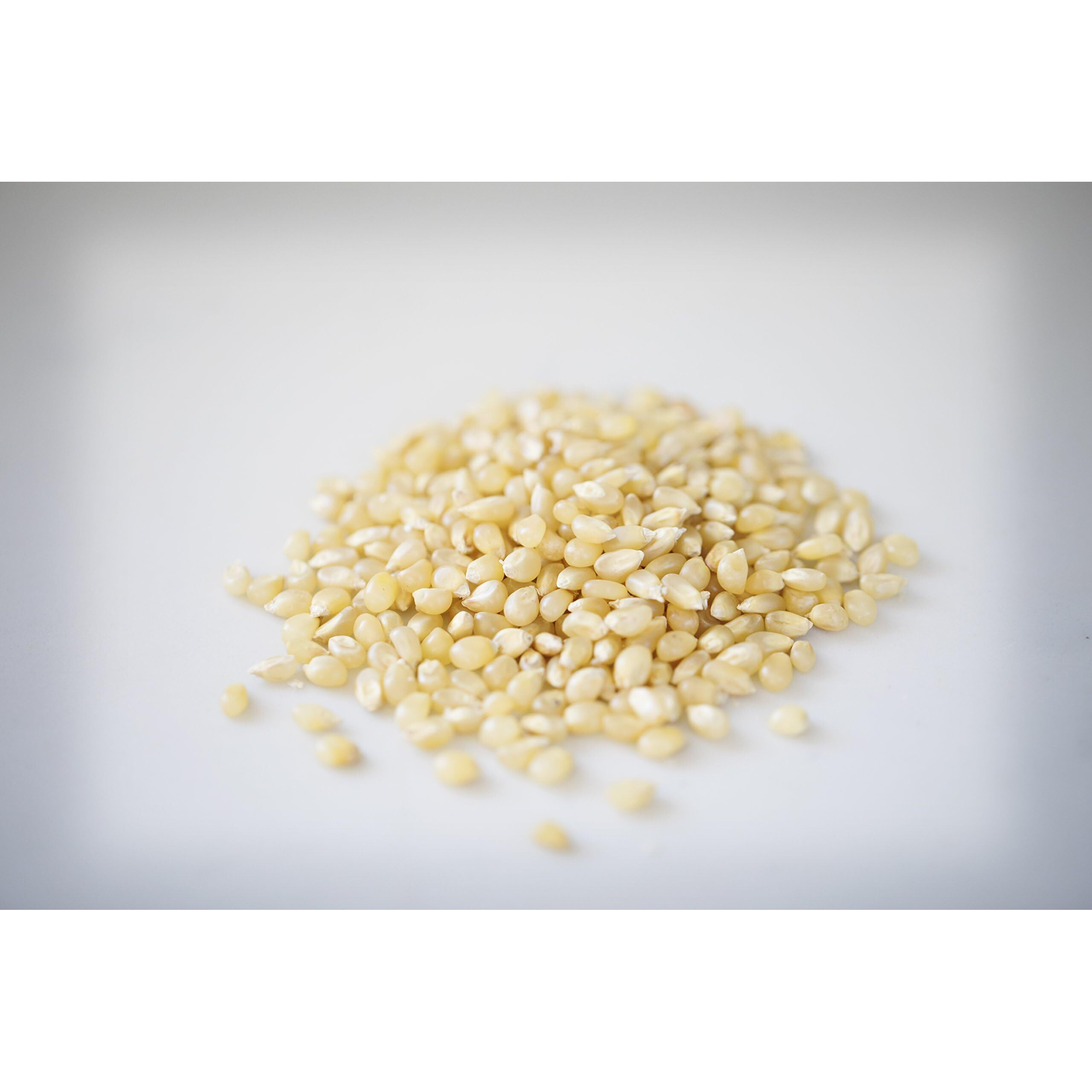 Amish Country Popcorn - Baby White (6 Pound Bag) - Small & Tender Popcorn - Old Fashioned And Delicious With Recipe Guide