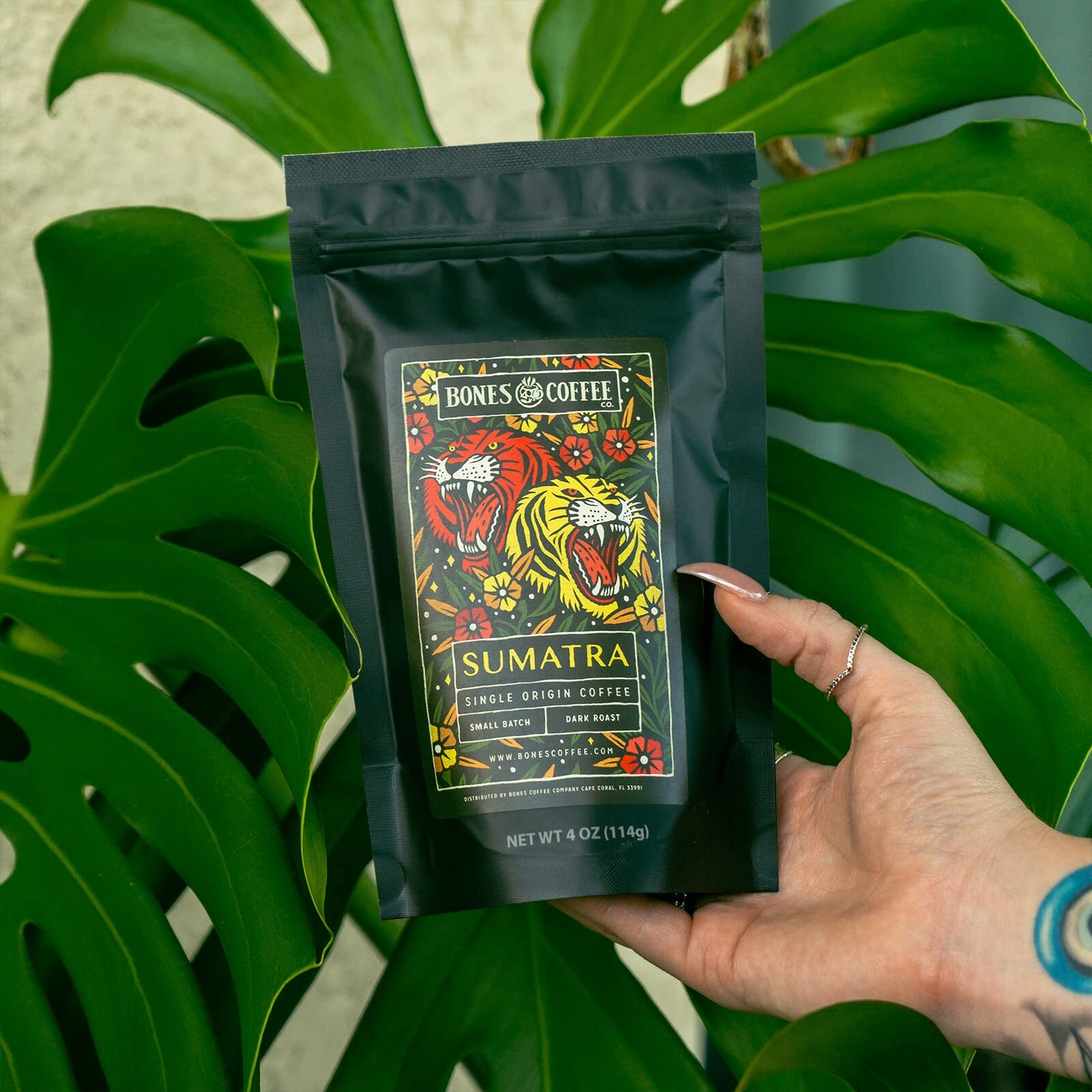 Bones Coffee Company New World Tour Bundle Ground Coffee Beans | Gift Box Set With Specialty Coffee Mug | 4 Oz Pack Of 5 Assorted Single-Origin Medium Roast Coffee Beverages (Ground)