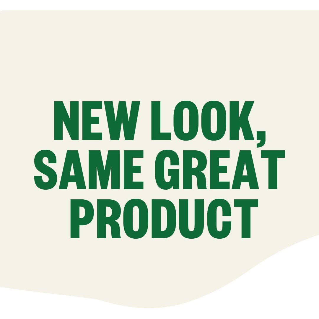 Fgo Organic Moringa Mint Tea, Eco-Conscious Tea Bags, 20 Count, Packaging May Vary (Pack Of 1)