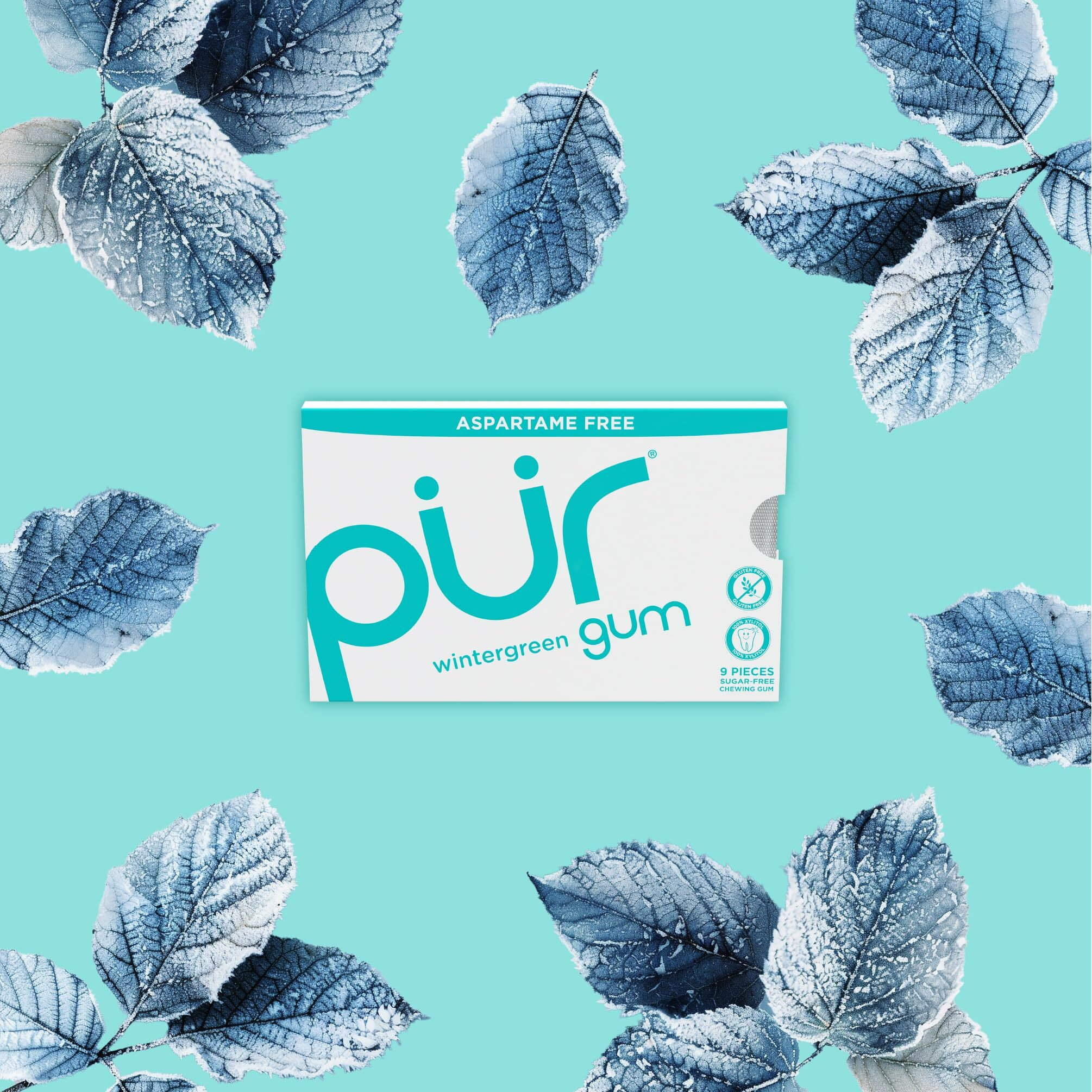 Pur Gum | Aspartame Free Chewing Gum | 100% Xylitol | Natural Wintergreen Flavored Gum, 9 Pieces (Pack Of 12)