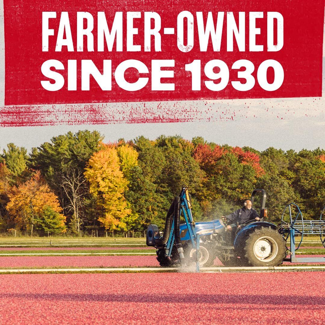 Ocean Spray Cranberry Sauce Jellied, 14-Ounce Bottles (Pack Of 24)