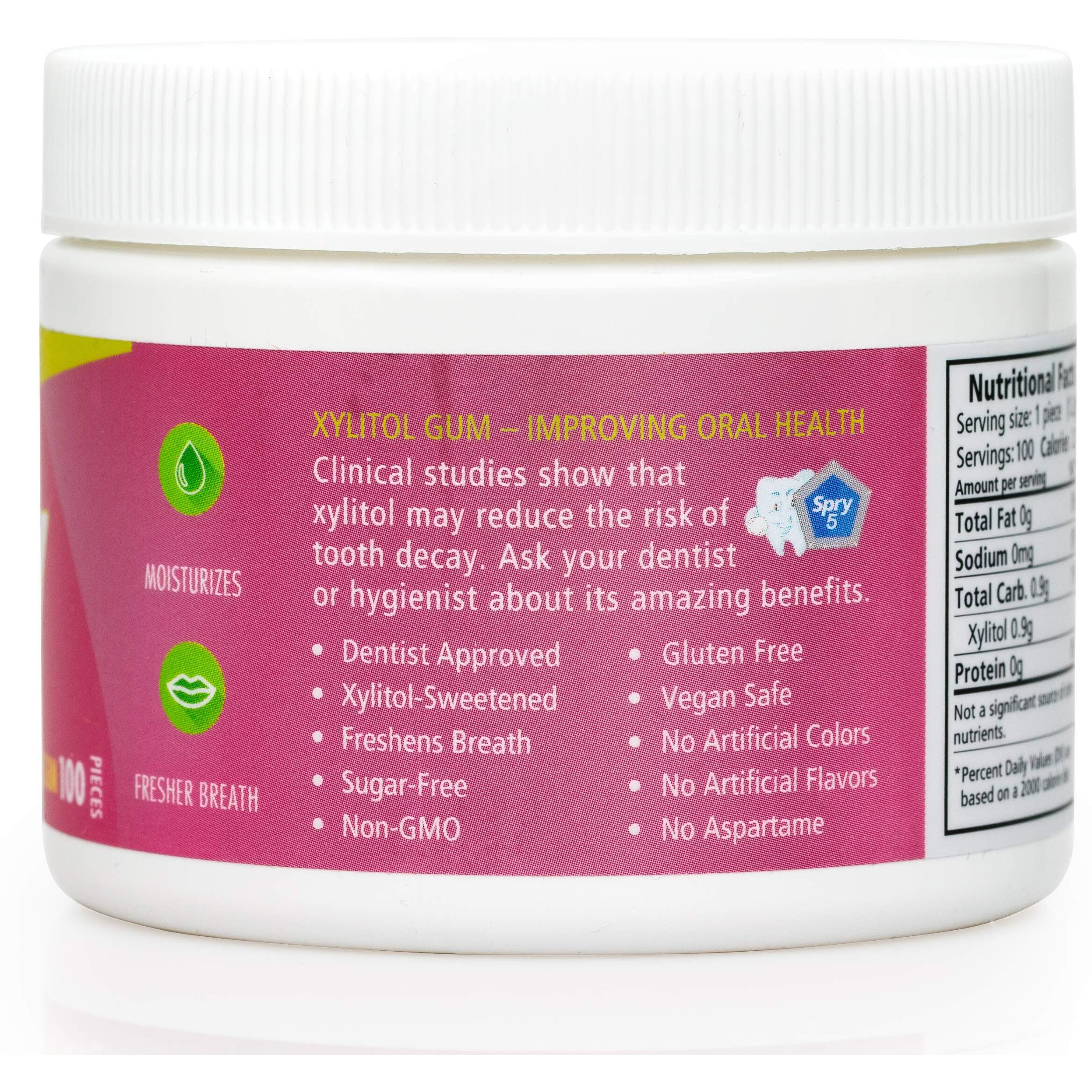 Spry Fresh Natural Xylitol Chewing Gum Dental Defense System Aspartame-Free Sugar Free Gum (Bubble Gum, 100 Count - Pack Of 2)