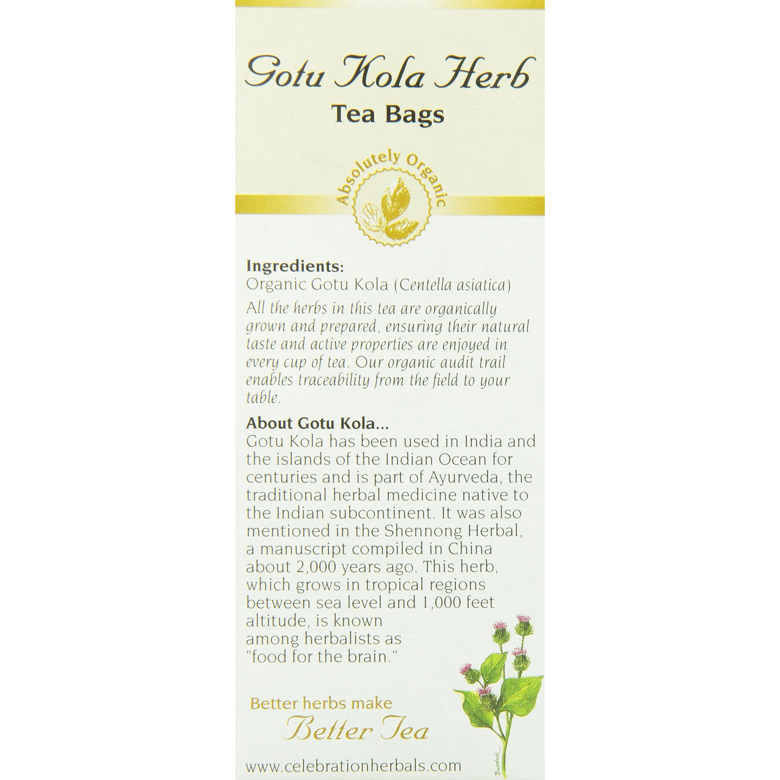Celebration Herbals Organic Gotu Kola Tea Bags 24 Count