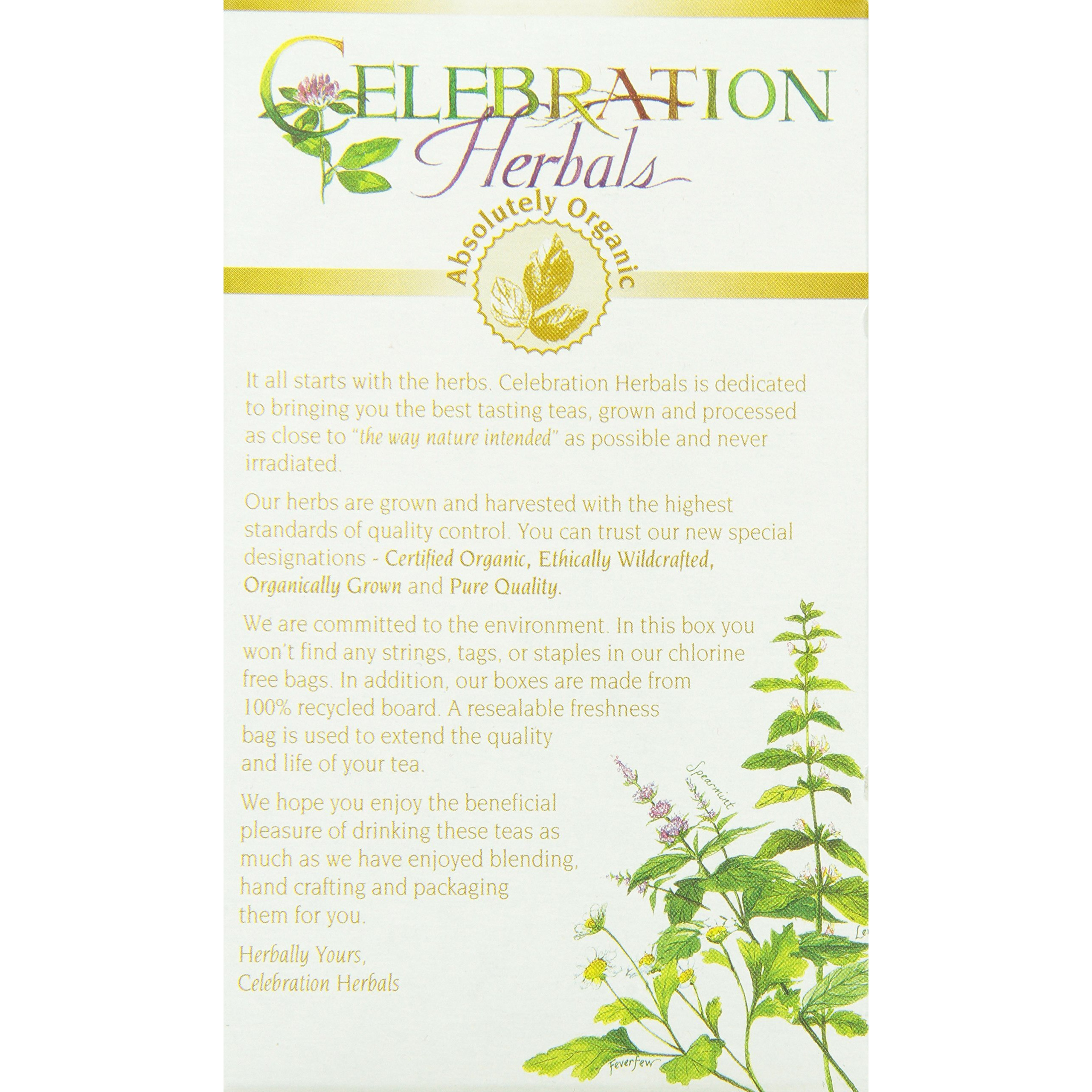 Celebration Herbals Organic Gotu Kola Tea Bags 24 Count
