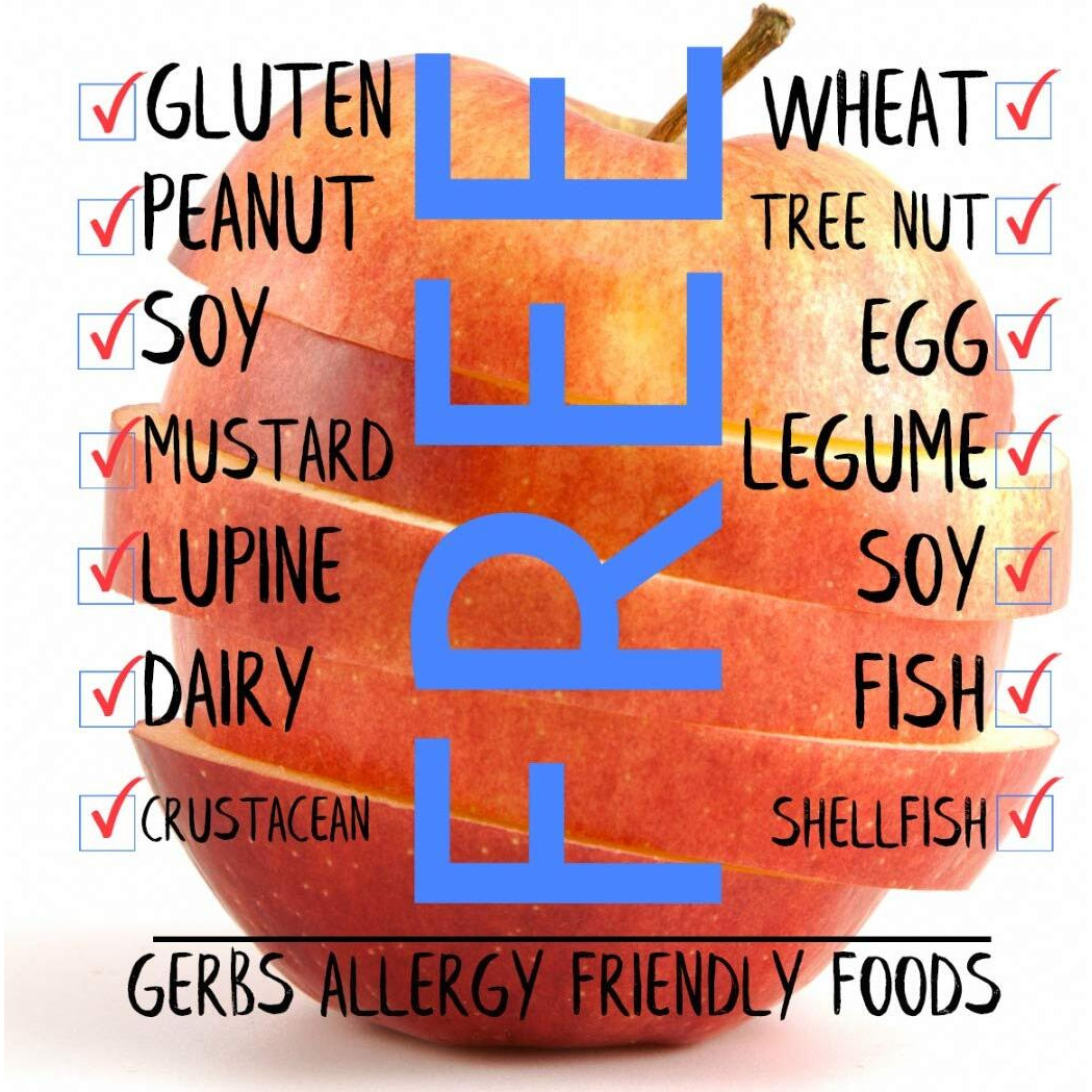 Gerbs Dried Apple Slices 1 Lb. | Soft & Dehydrated | Recloseable Bag | Top 14 Food Allergy Free | Sulfur Dioxide Free | Rich In Fiber | Gluten & Peanut Free