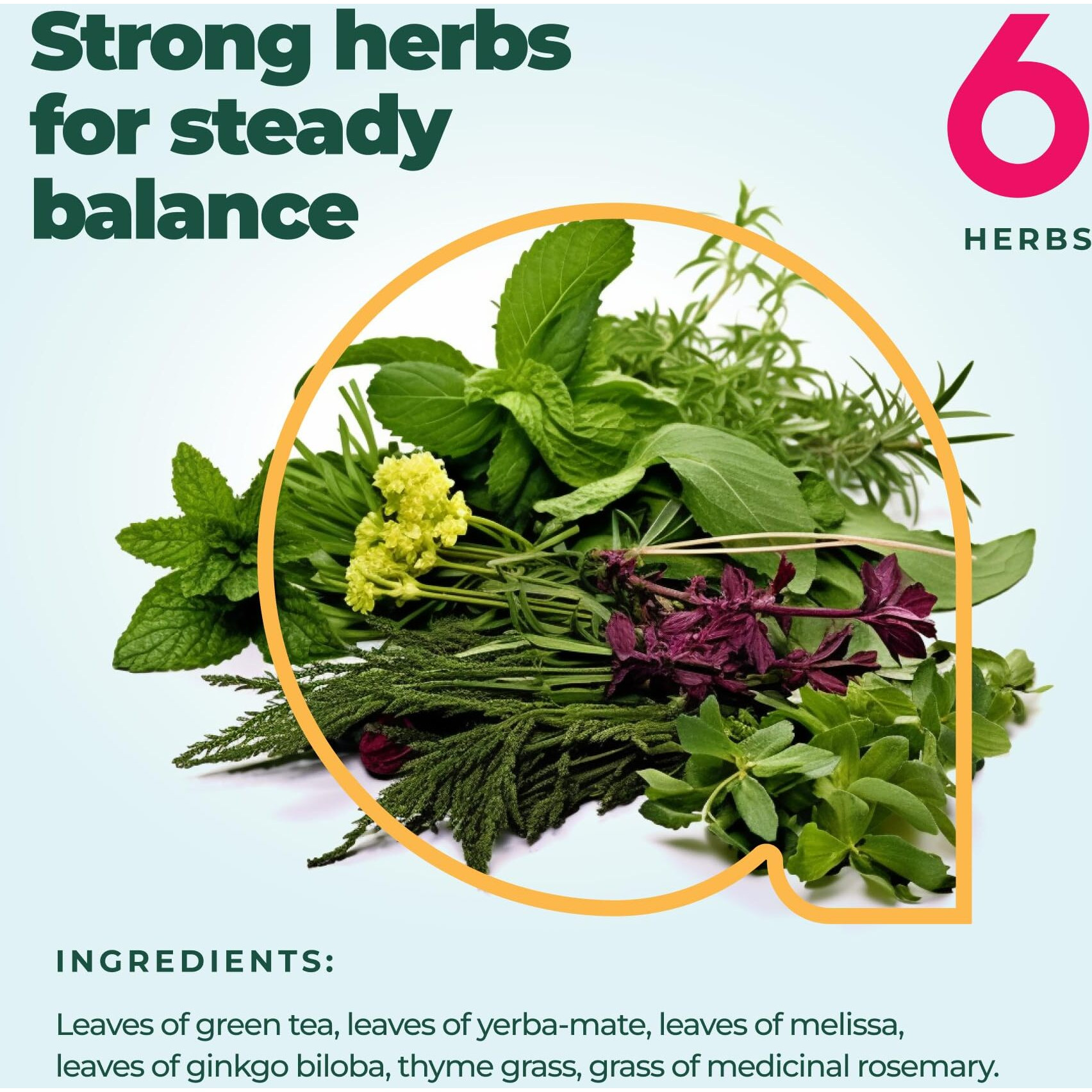 Aprikalife - Focus And Concentration Herbal Tea 100% Natural Herbal Tea Created By Herbalists - Yerba-Mate, Lemon Balm, Ginko Biloba, Thyme, Rosemary. Improves Attention & Energy - 60 Bags