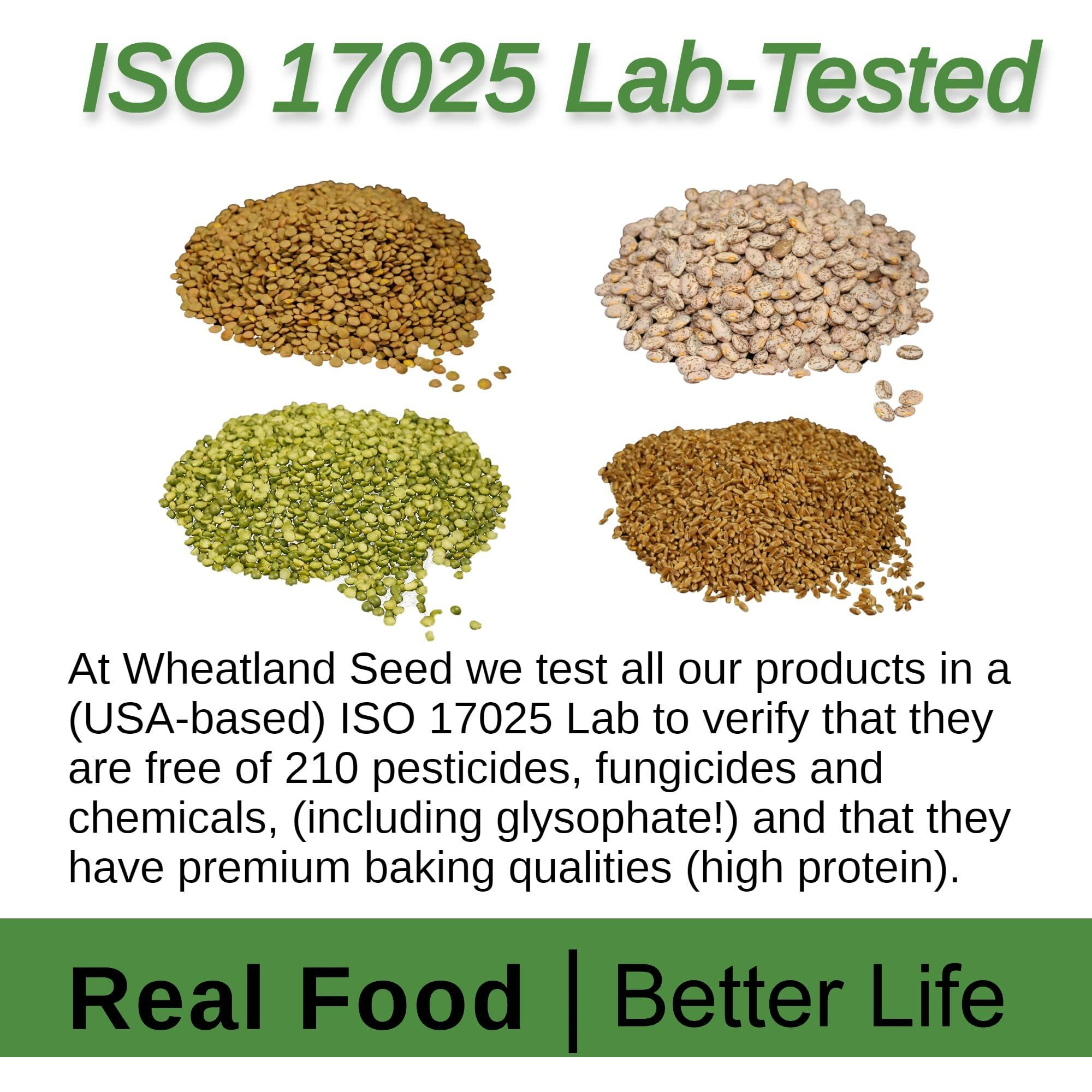 Wheatland White Beans  Premium Packaging  Mylar, Oxygen Absorber & Bucket Provide 25 Year Shelf Life  Lab-Tested Iso 17025 Verified Chemical-Free  Never Irradiated, No Desiccants And Non Gmo  High Trust Seller  Emergency Food Storage  40 Year Legacy Of Prepping
