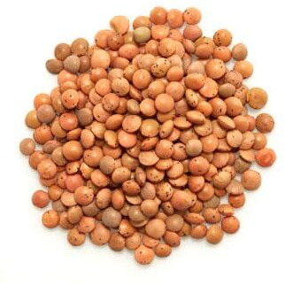 Yupik Organic Brown Lentils, 2.2 Lb, Non-Gmo, Vegan, Gluten-Free, Kosher, Raw, Salt-Free, High In Fiber & Protein, Ideal For Soups, Salads & Meat Alternatives