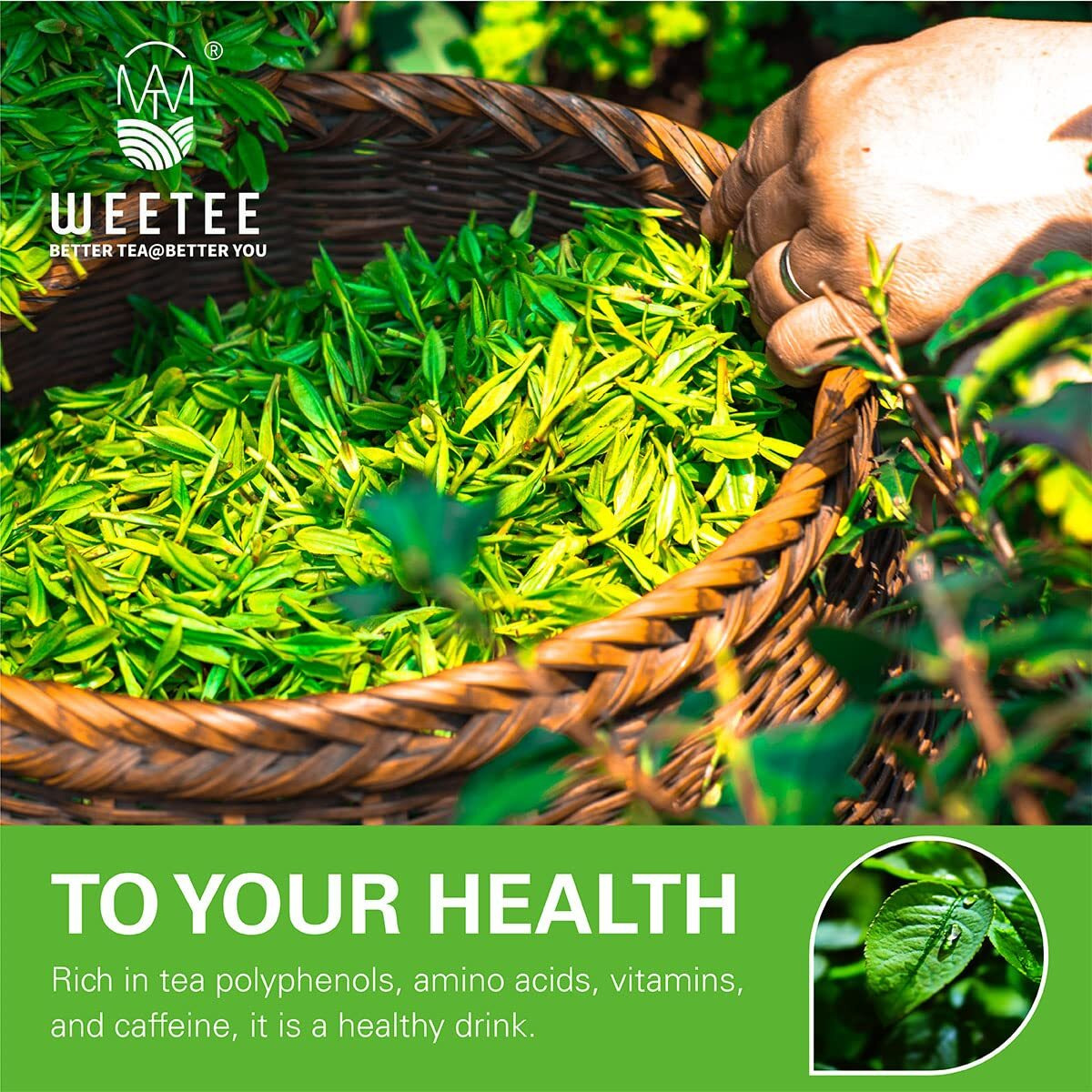 Wt Weetee Organic Green Tea Bags, Usda Organic Pure Green Tea 100 Count, Super Antioxidant | Resealable Kraft Bag | Brew Hot Or Iced