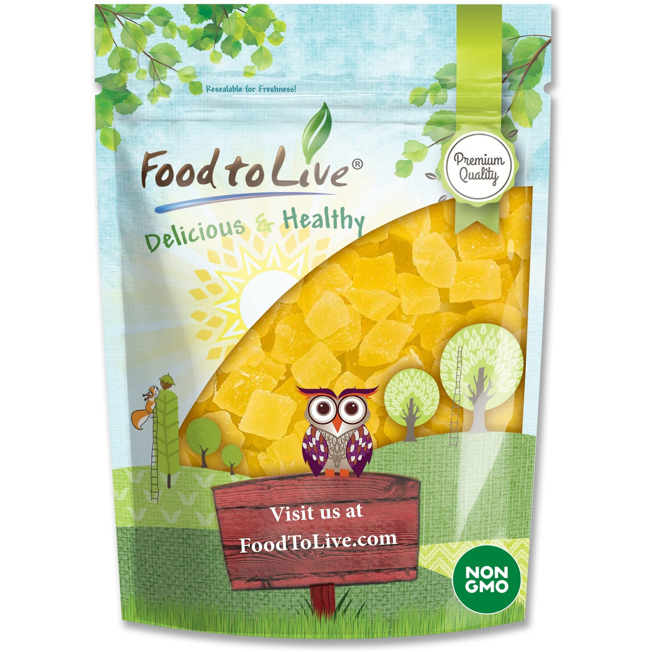 Food To Live Dried Diced Pineapple, 1 Pound Raw, Vegan, Sweetened, Unsulfured, Bulk, Great For Culinary Use And Baking