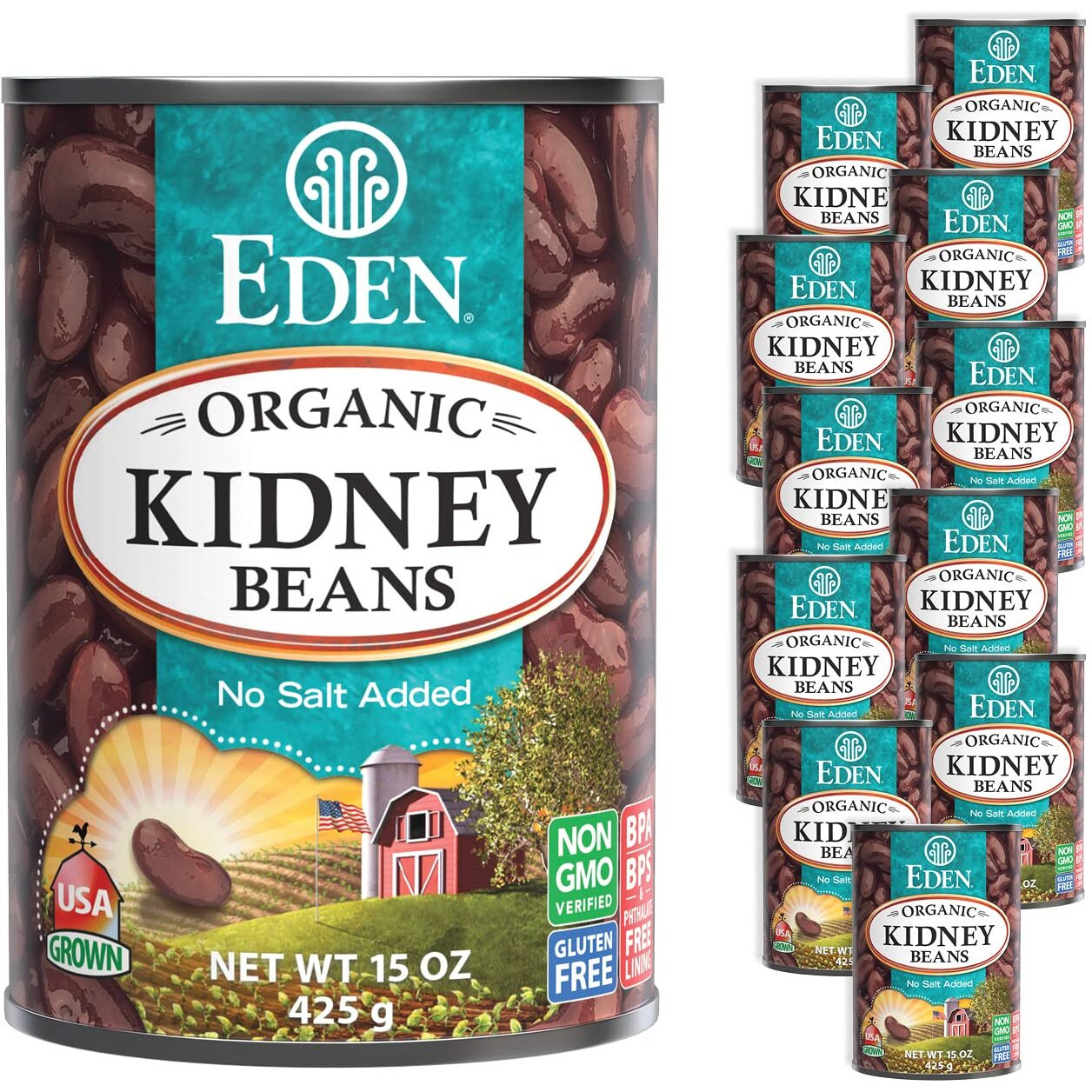 Eden Organic Red Kidney Beans, 15 Oz Can, No Salt Added, Non-Gmo, U.S. Grown, Heat And Serve, Macrobiotic, Red Beans (12-Pack)