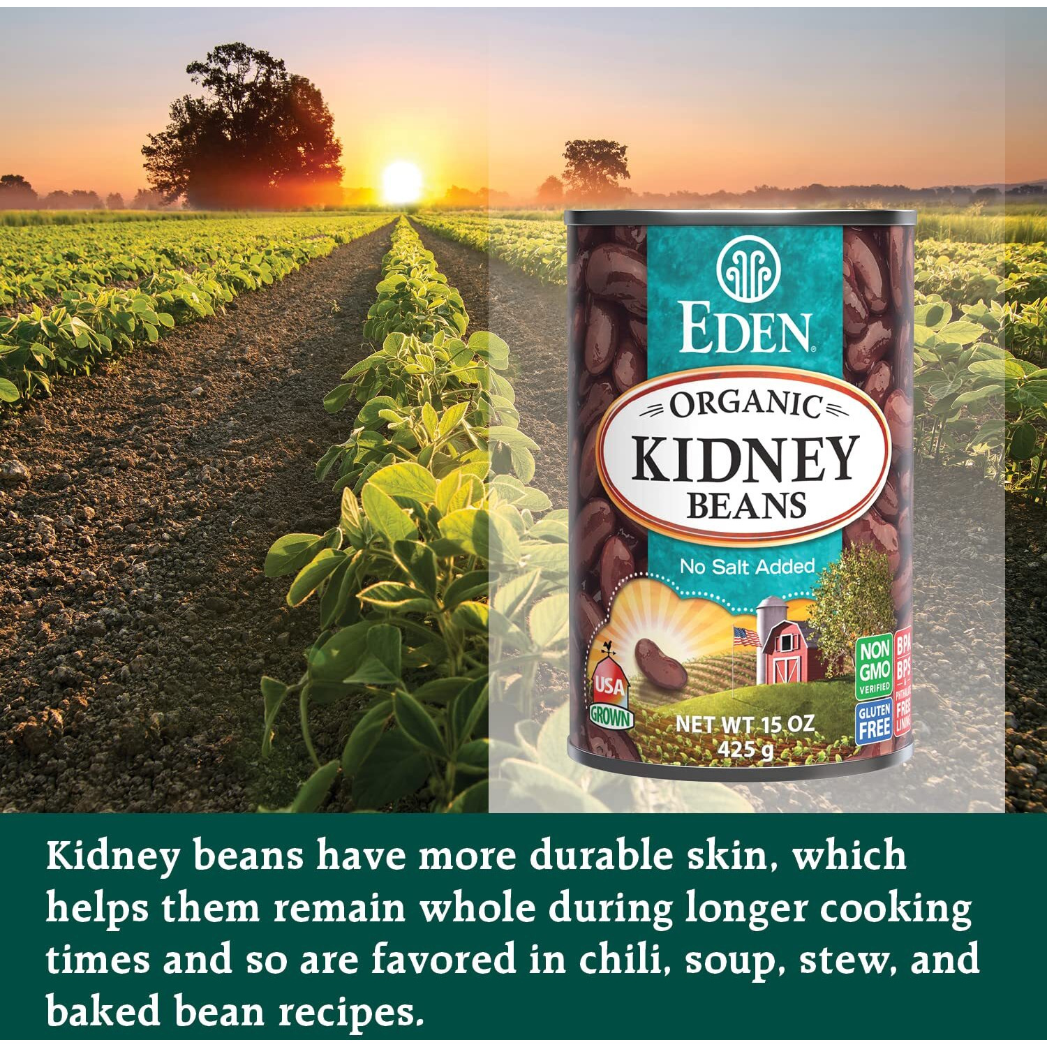 Eden Organic Red Kidney Beans, 15 Oz Can, No Salt Added, Non-Gmo, U.S. Grown, Heat And Serve, Macrobiotic, Red Beans (12-Pack)