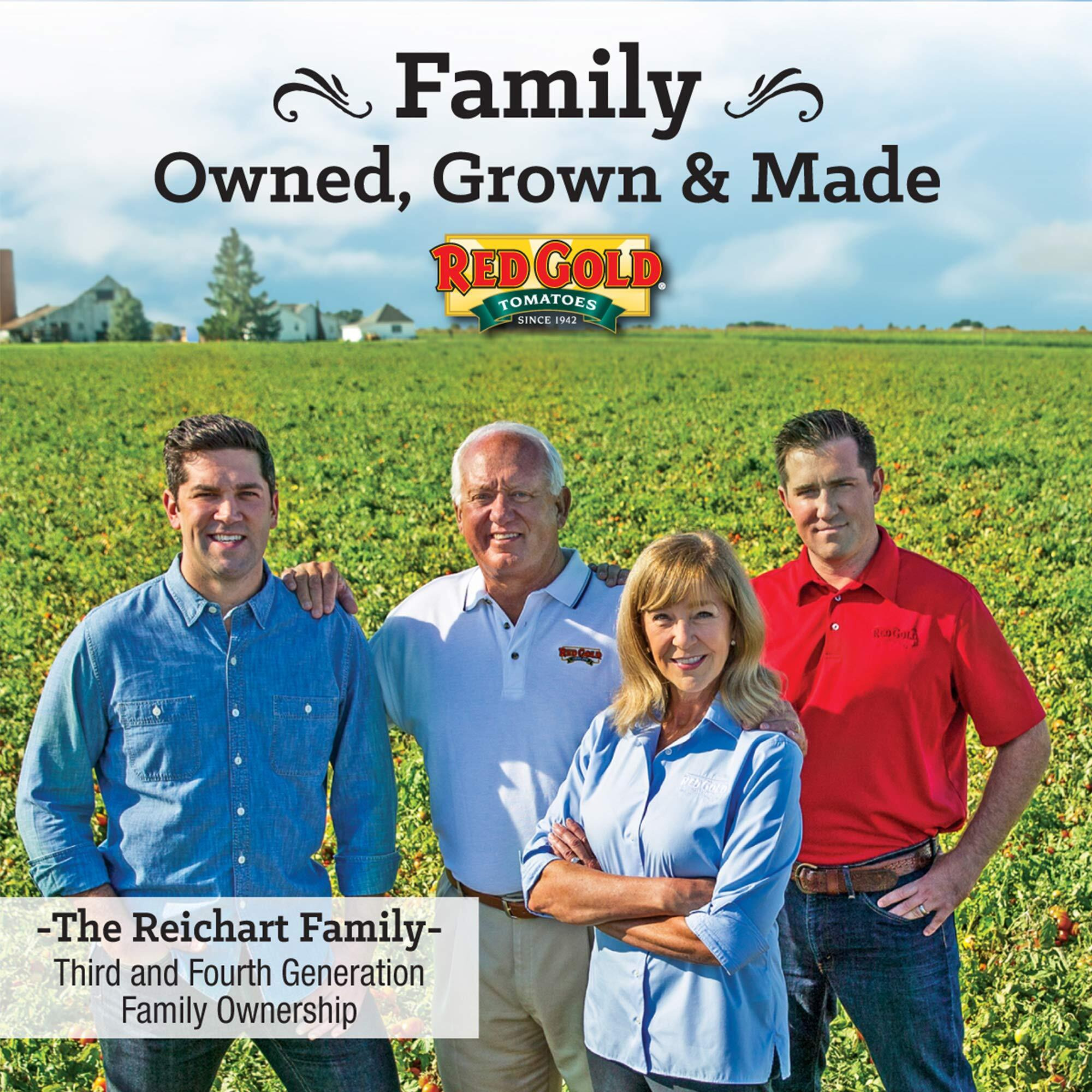 Red Gold Ketchup, (Regular) Squeeze Bottle, 20Oz Bottles (Pack Of 4)