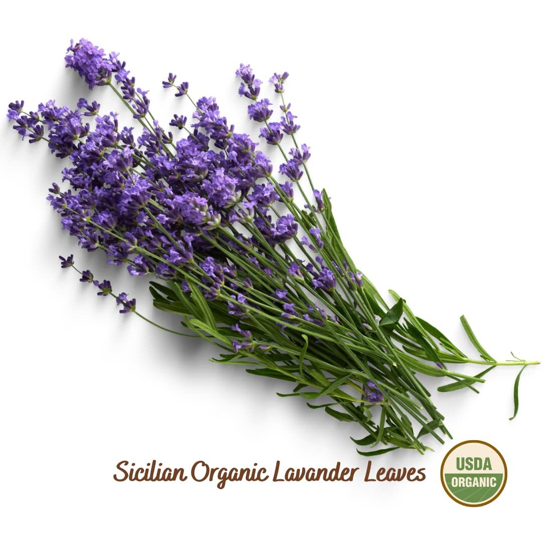 Filippone Organic Dried Lavender Bunch 25 G (0.88 Oz), Freshly Grown In The Mountains Of Sicily, Culinary Lavender, Italian Dried Lavender Branches, Herb, Spices, Certified Usda Organic