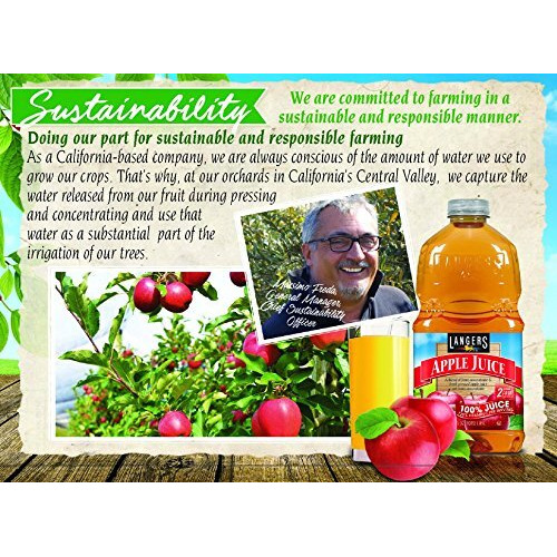Langers 100% Juice, Apple, 101.4 Ounce (Pack Of 4)