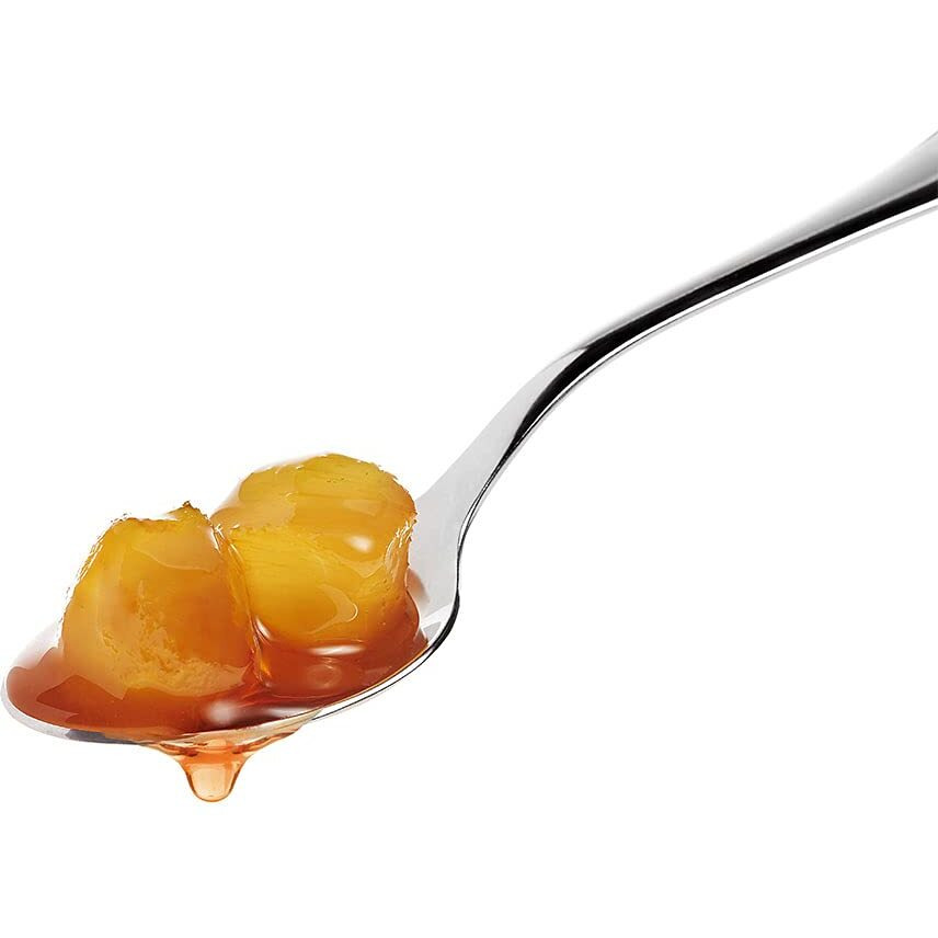 Fabbri Ginger With Syrup, 8 Oz