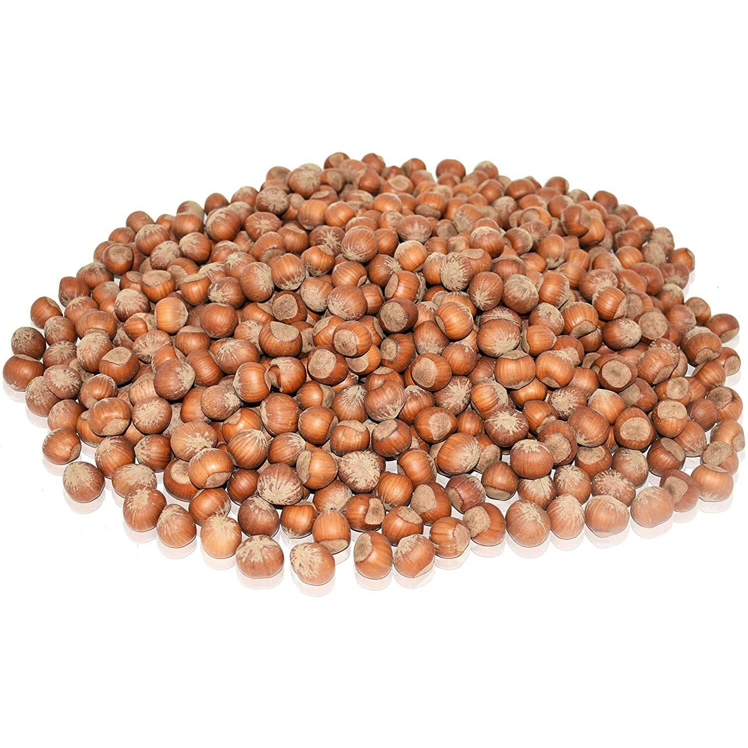 Anna And Sarah Large Oregon Hazelnuts In Shell (2.5 Lbs)