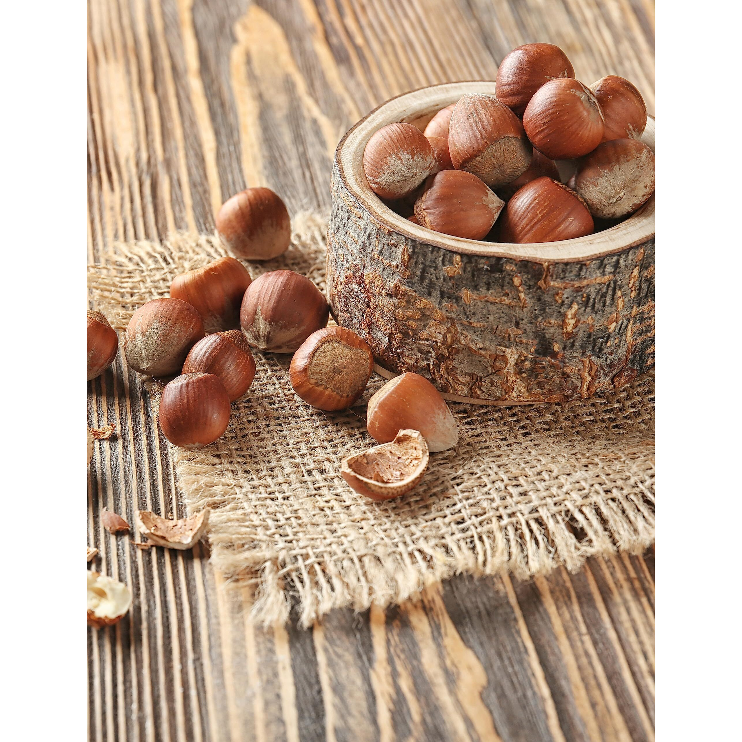 Anna And Sarah Large Oregon Hazelnuts In Shell (2.5 Lbs)