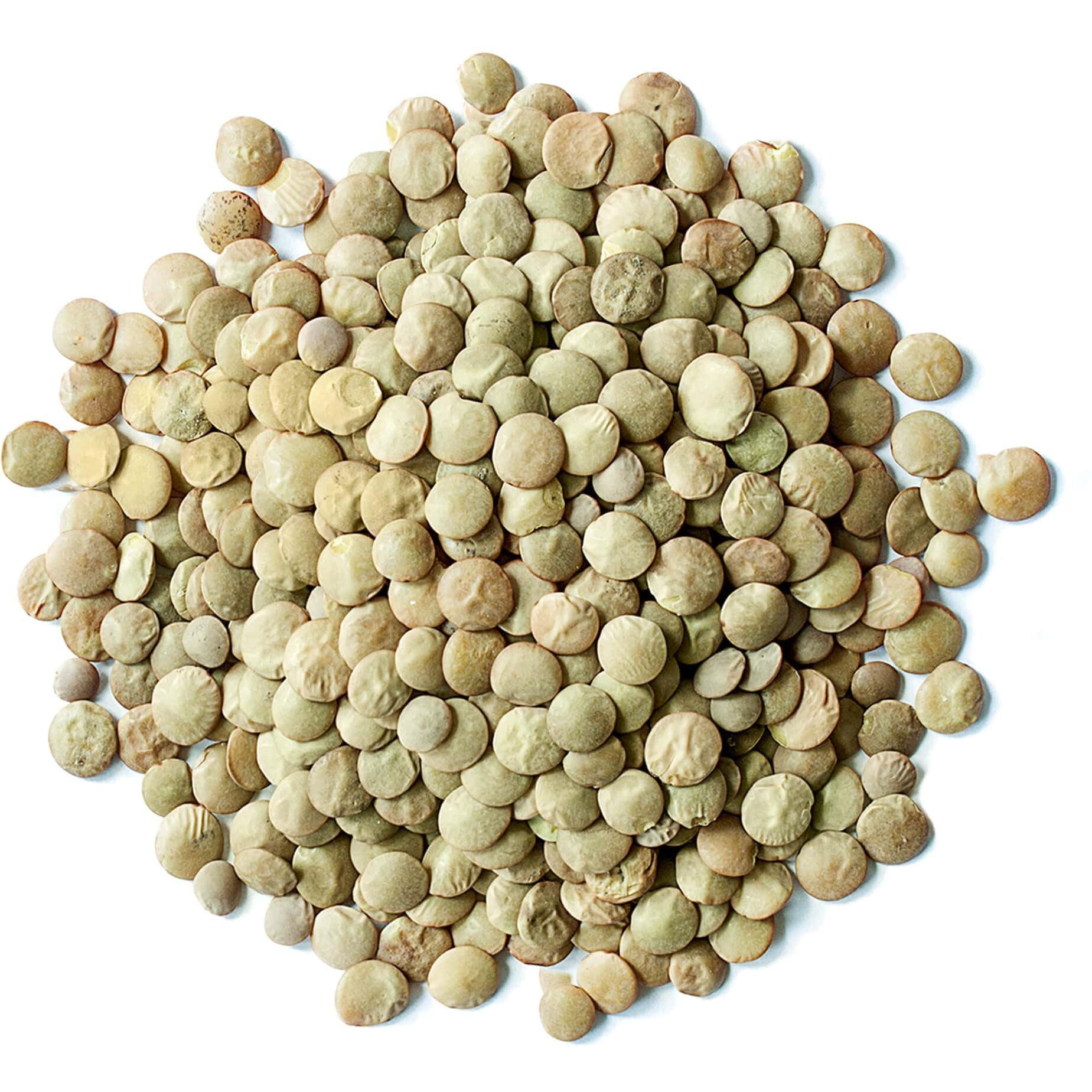 Food To Live Organic Whole Green Lentils, 25 Pounds - Non-Gmo, Dried Raw Beans, Sproutable, Vegan, Kosher, Bulk. High In Folate, Dietary Fiber, Protein. No Soaking Required. Great For Veggie Burgers.