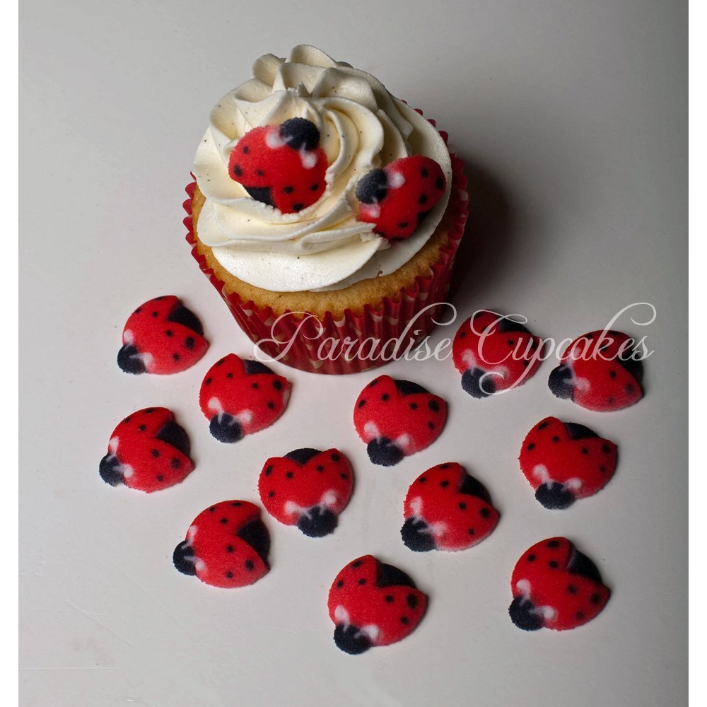 Oasis Supply Set Of 12 Edible Sugar Ladybug Toppers For Cakes Or Cupcakes