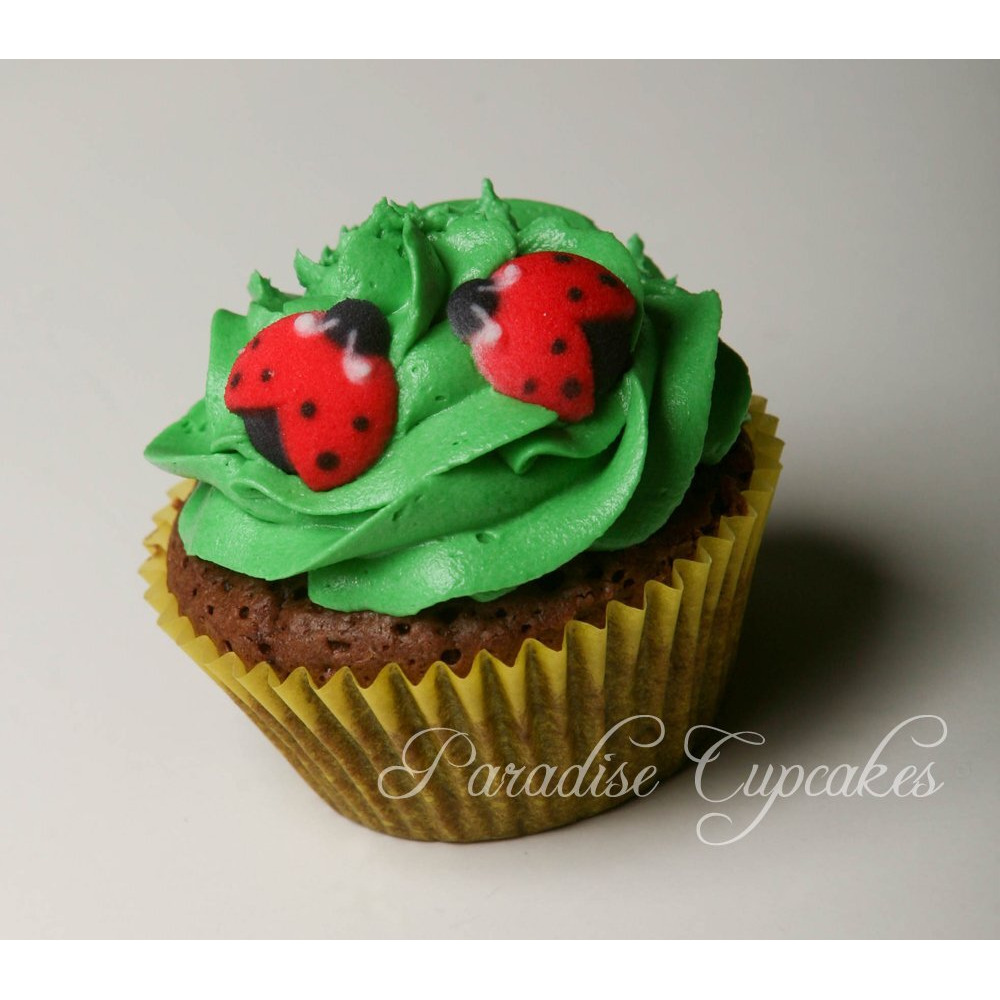 Oasis Supply Set Of 12 Edible Sugar Ladybug Toppers For Cakes Or Cupcakes