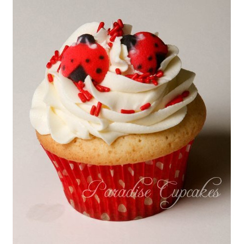 Oasis Supply Set Of 12 Edible Sugar Ladybug Toppers For Cakes Or Cupcakes