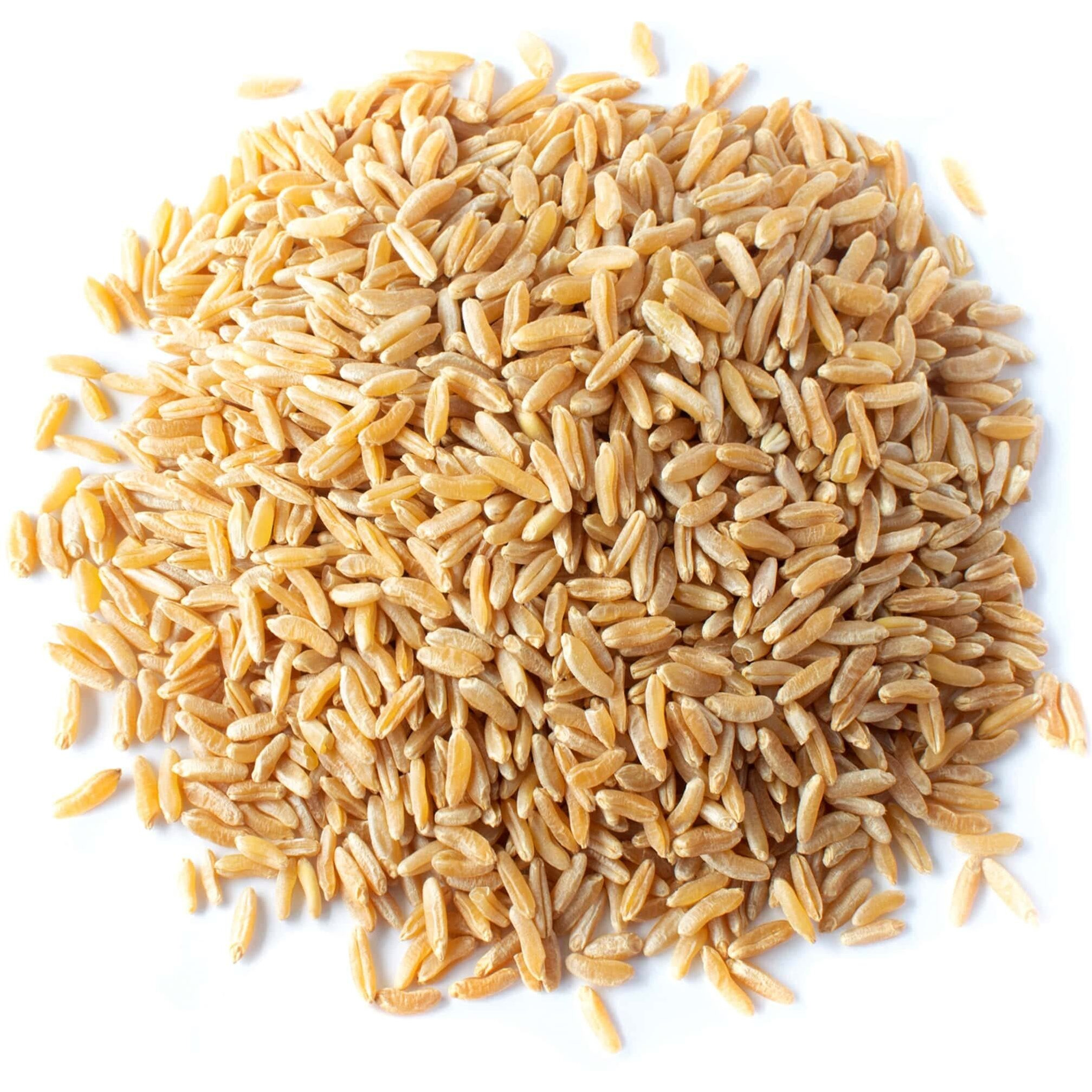 Food To Live Organic Kamut Khorasan Wheat Berries, 5 Pounds - 100% Whole Grain, Sproutable For Wheatgrass, Non-Gmo, Kosher, Bulk