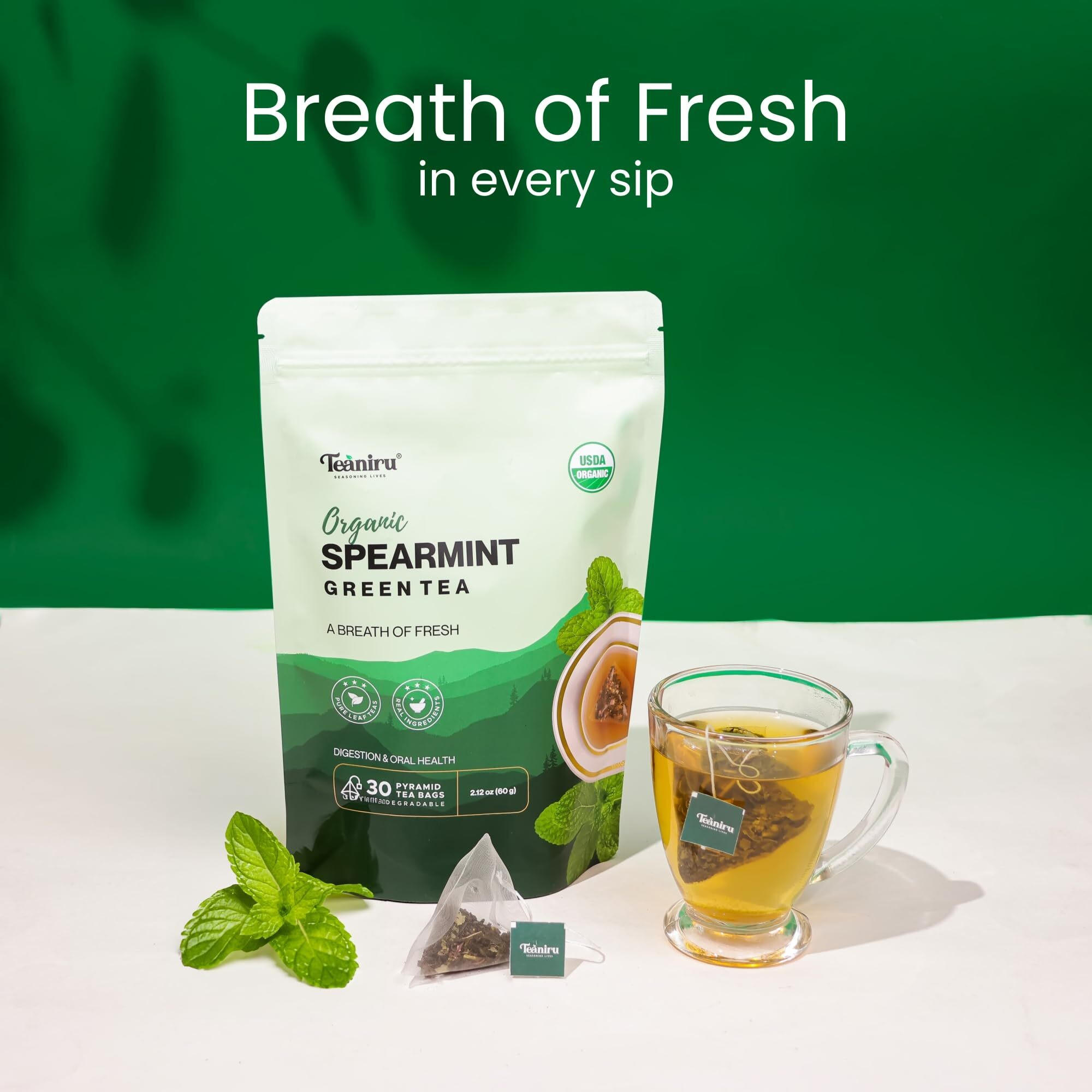 Teaniru, Spearmint Green Tea - 30 Count | For Quick Digestion & Healthy Skin | High In Antioxidants, Vitamin C & Iron | Your Anytime Elixir | Certified By Usda Organic
