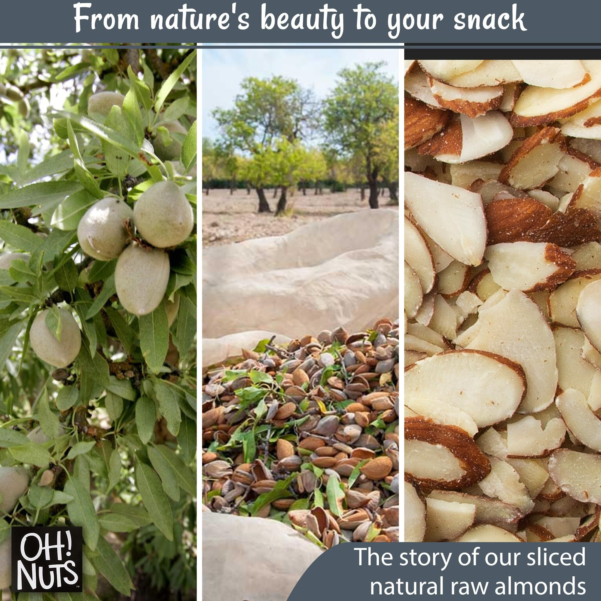Almond Slices | Raw - 100% Natural | 1.5 Lb | Natural Sliced Almonds | Packed In New York Zip-Seal Bag For Exceptional Freshness By Oh Nuts