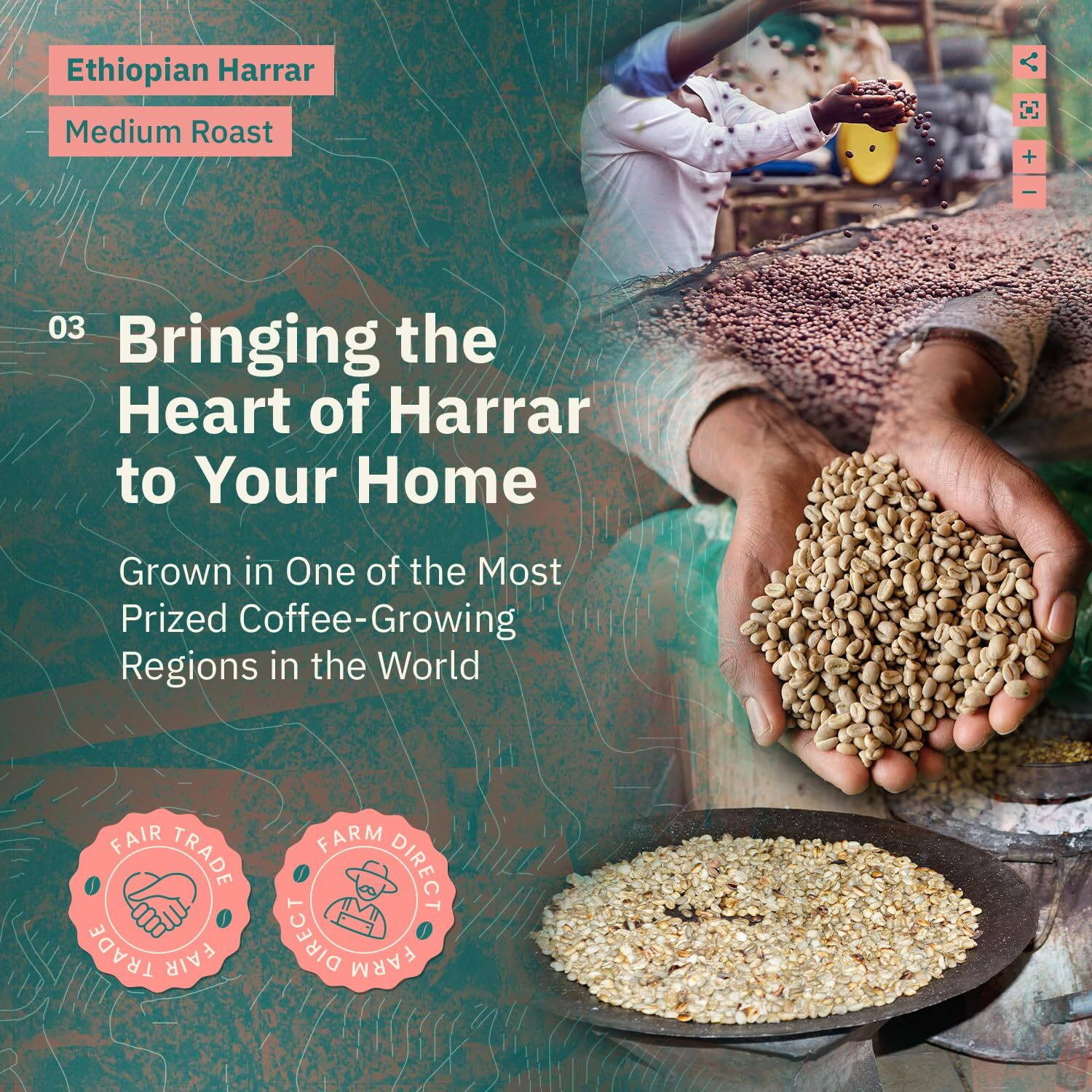 Organic Ethiopian Whole Bean Coffee Medium Roast - 12 Oz, Single Origin Ethiopian Harrar Coffee Beans, Specialty Coffee, Fair Trade, Chocolate & Fruity Notes - Roasted To Order