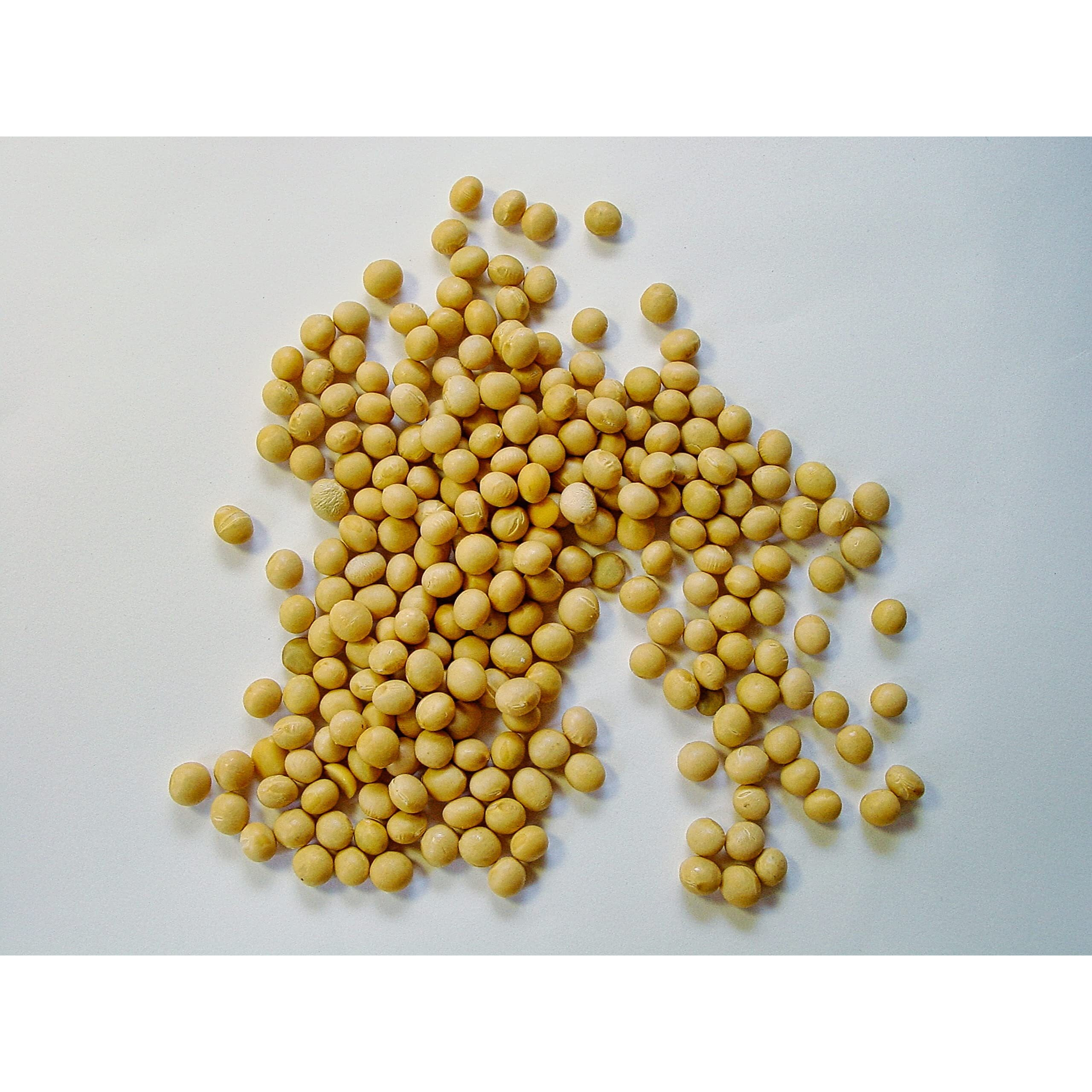Japanese Soy Sauce Powder With Wasabi Powder (2.11 Oz / 60G, Packet Of 1) - Powdered Soy Sauce, Wasabi Soy Seasoning, Umami Seasoning, Seasoned Salt, Asian Sauce, Shoyu, Popcorn Flavoring, Wasabi Soy Almonds, Umami Powder, Wasabi Almonds, Wasabi Edamame - Kinjirushi Brand