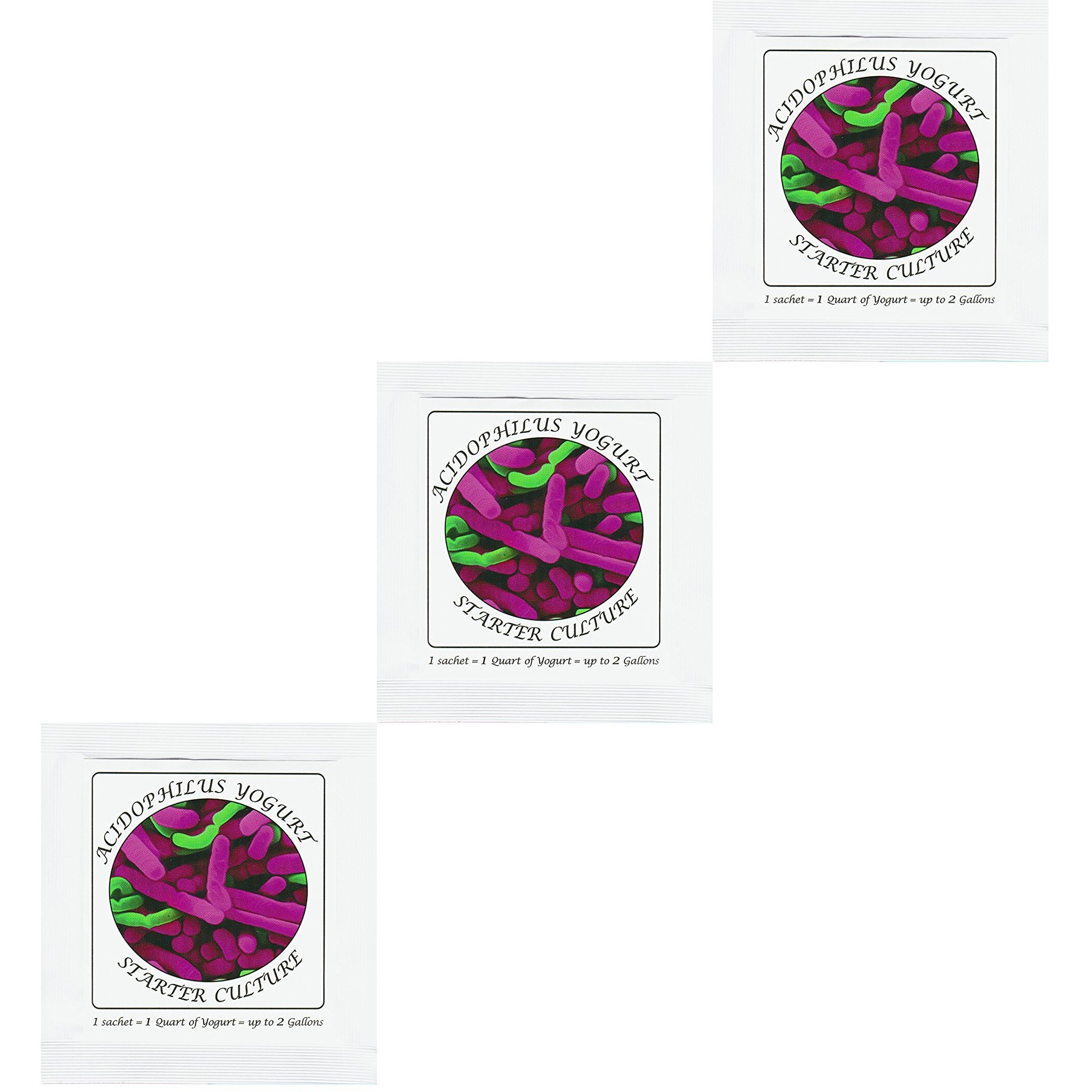 Yogurt Starter Cultures - Pack Of 3 Freeze-Dried Culture Sachets For Acidophilus Yogurt