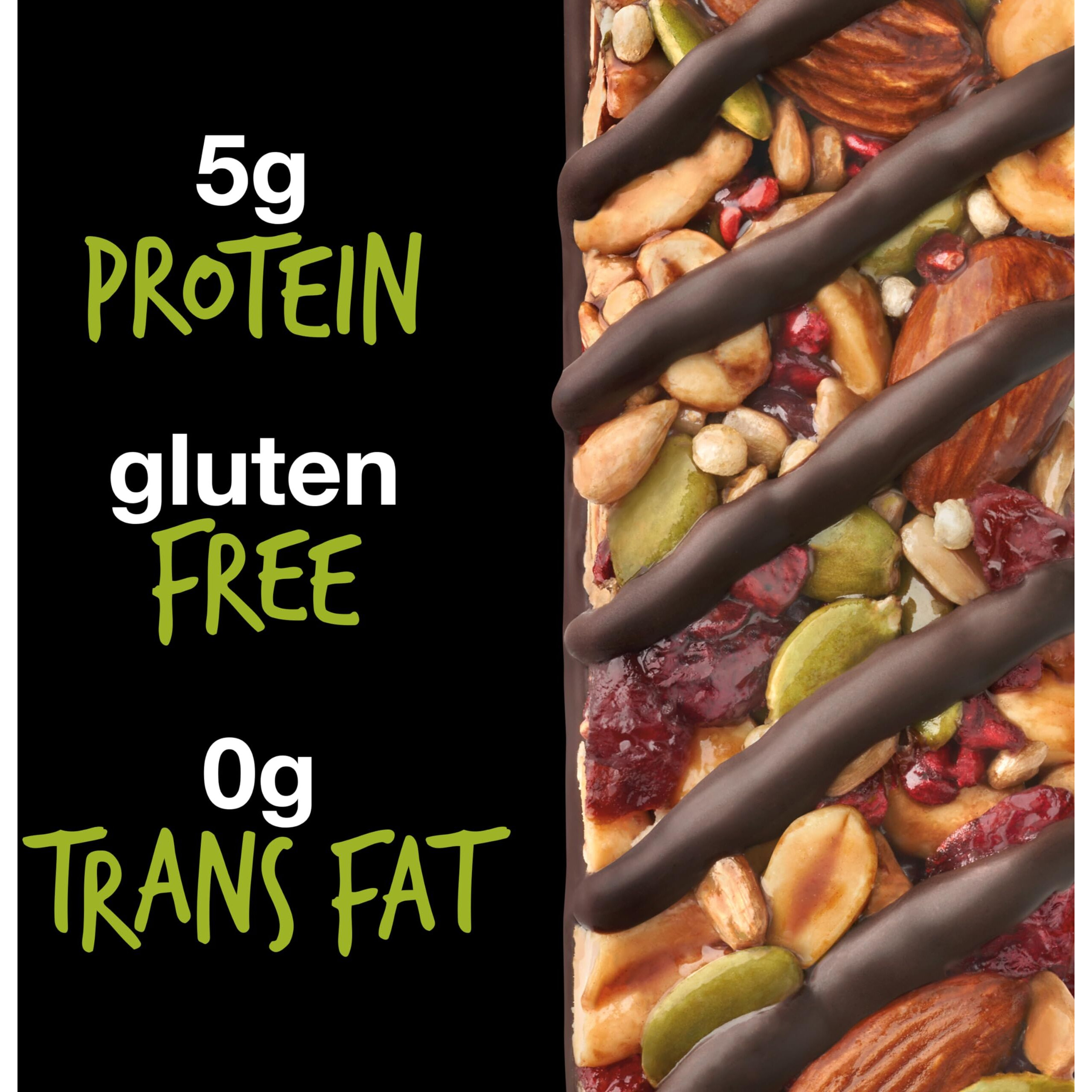 Kind Seeds Fruit & Nuts Snack Bar, Dark Chocolate Raspberry Pumpkin Seed | 5G Protein, High Fiber, Gluten Free Bars, 1.4 Oz, 12 Count