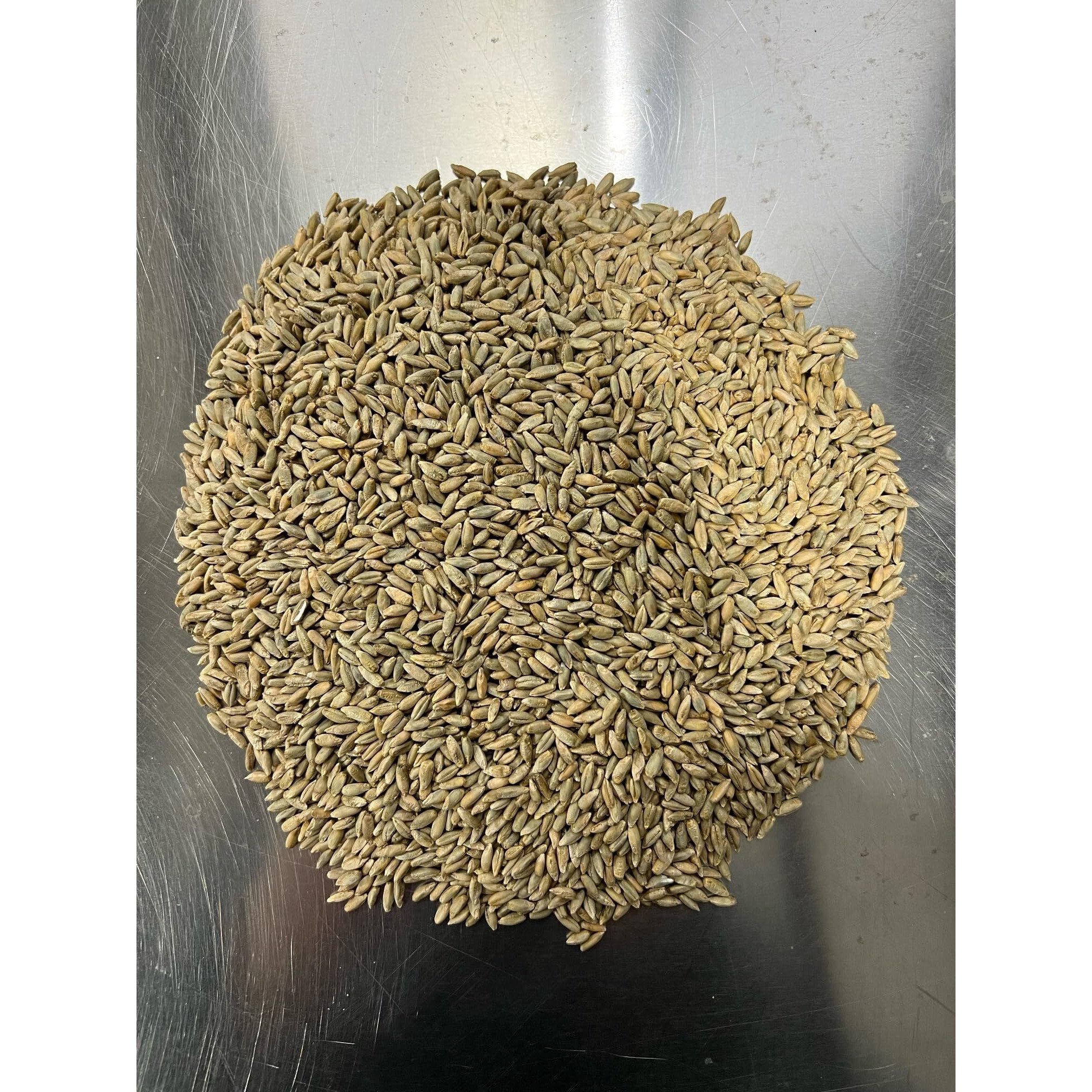 Rye Berries For Mushroom Spawn - Organic, Triple Washed Rye Grain To Make Mushroom Grainspawn By Mycology Basics - 5 Lbs
