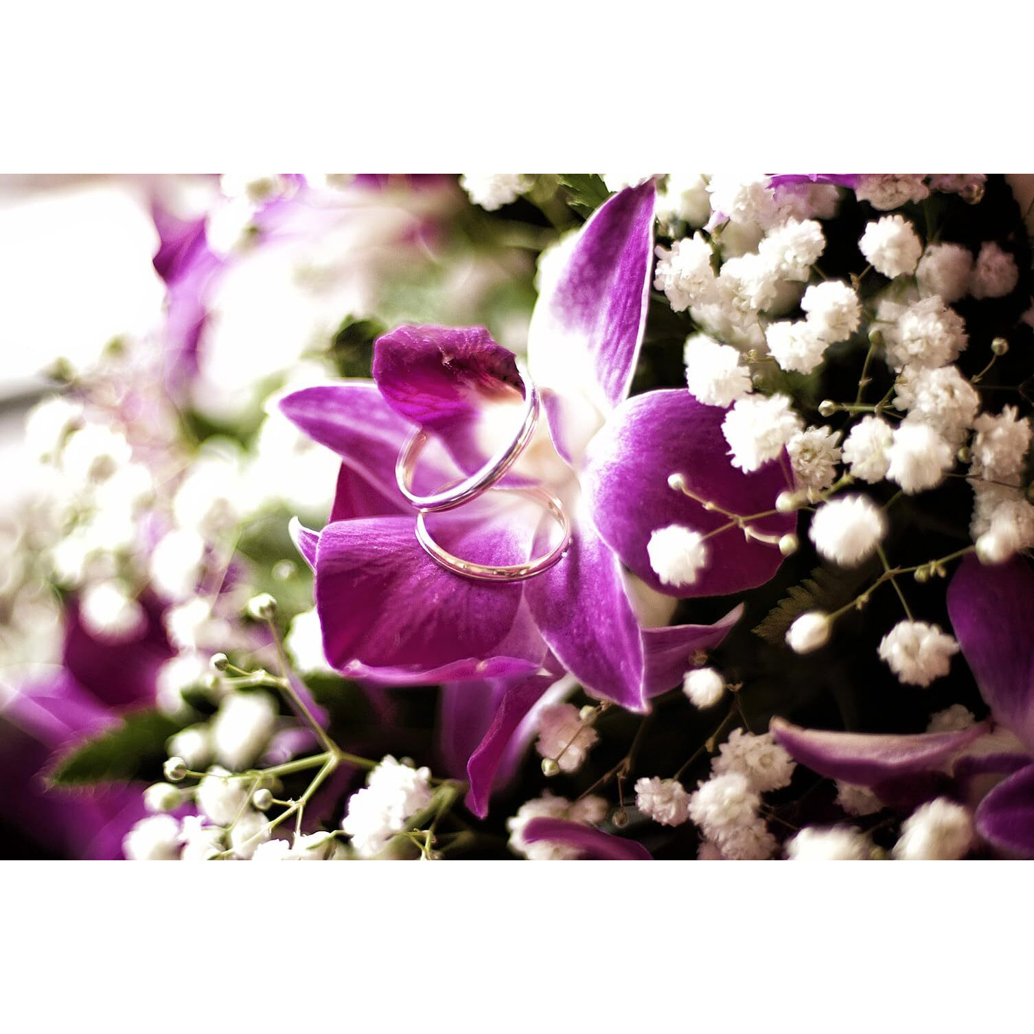 Miami Fresh Orchid Flower Orchidclub Usa Sunne Tropical Loose Bloom Diy Lei, Food & Drink Decoration (50 Purple)